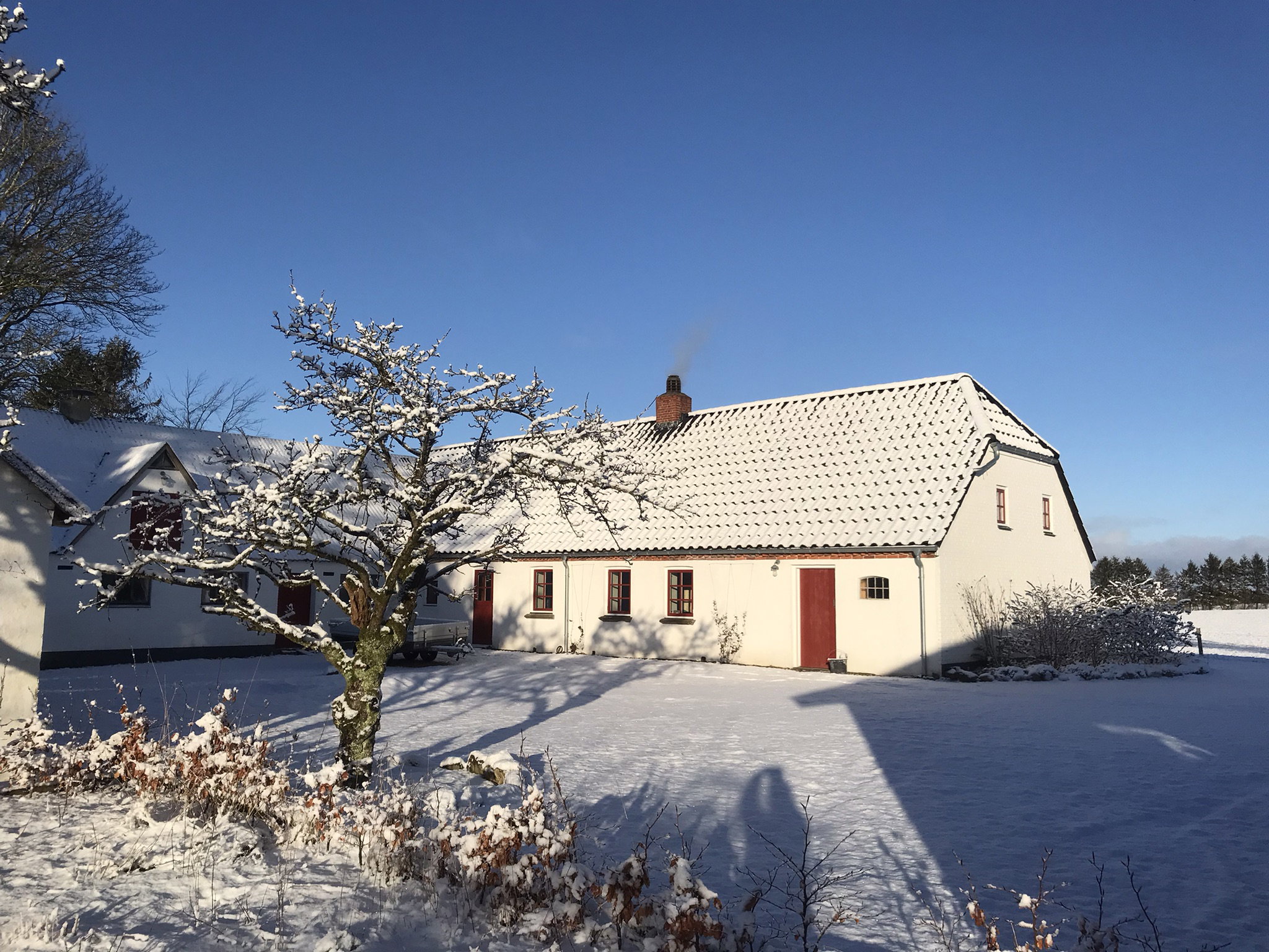 Casa nella natura a Viborg