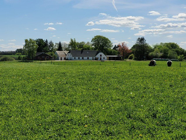 Nature house in Viborg