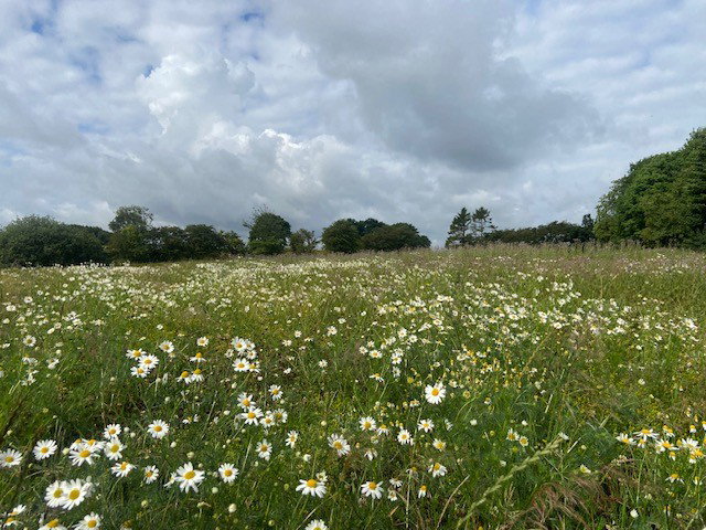 Nature house in Viborg
