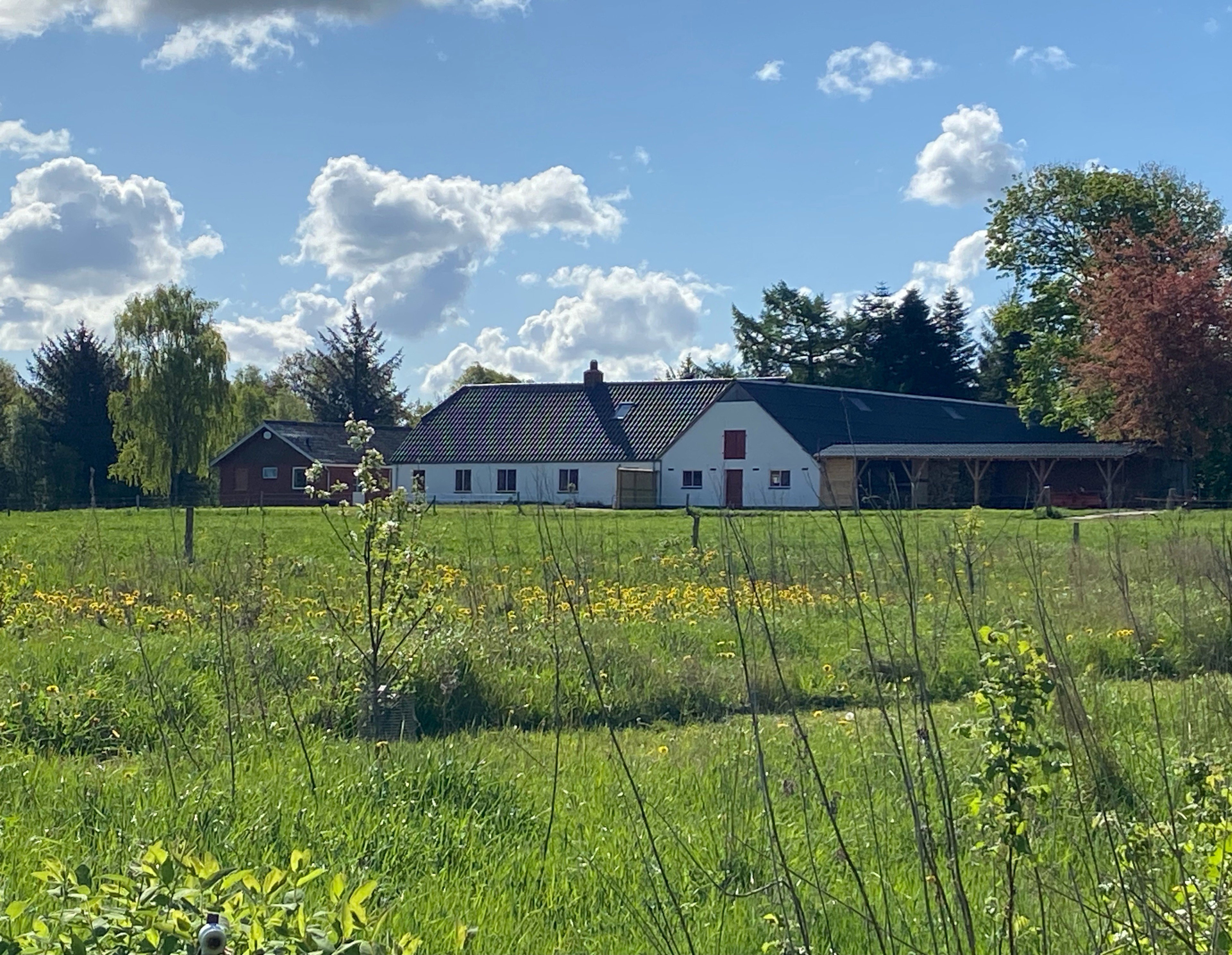 Nature house in Viborg