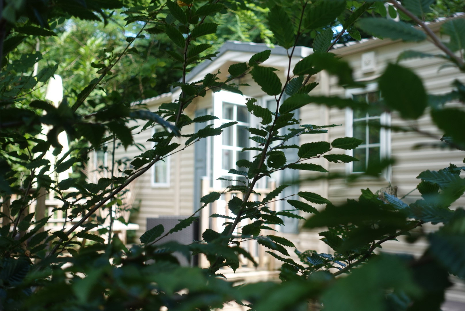Natuurhuisje in Condat sur Ganaveix
