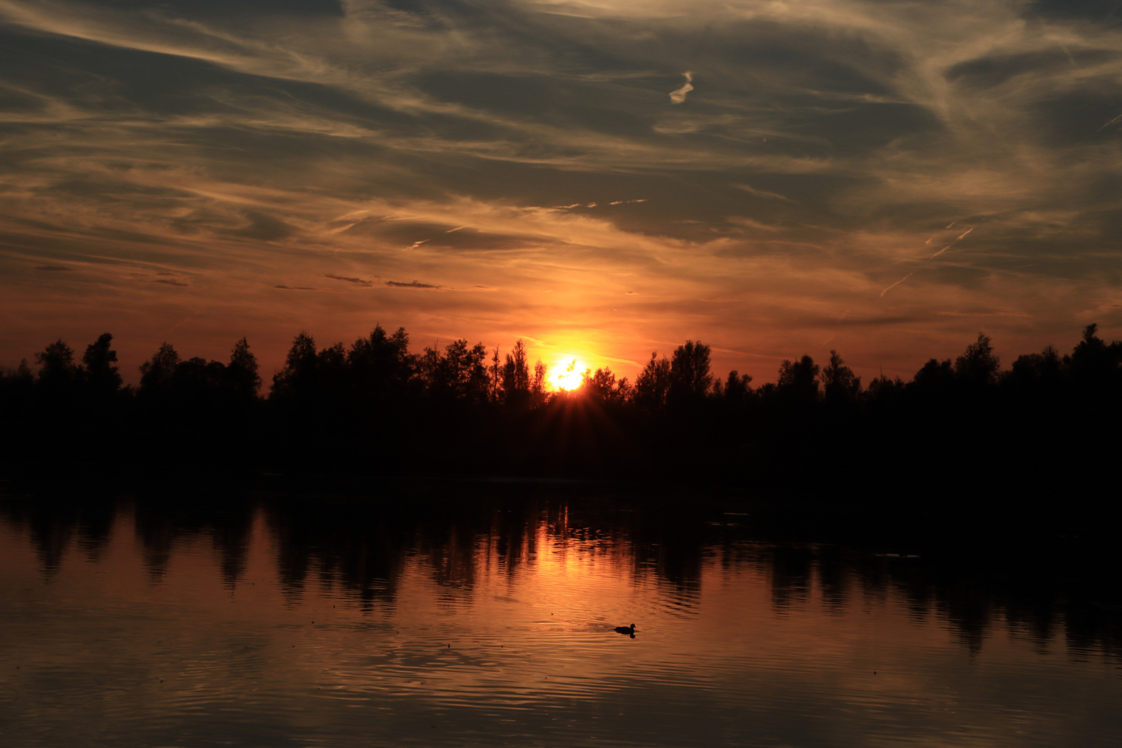 - image: 15