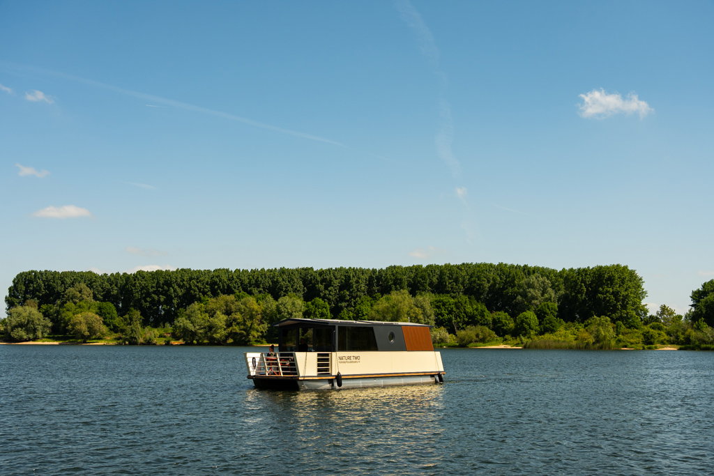- image: 16