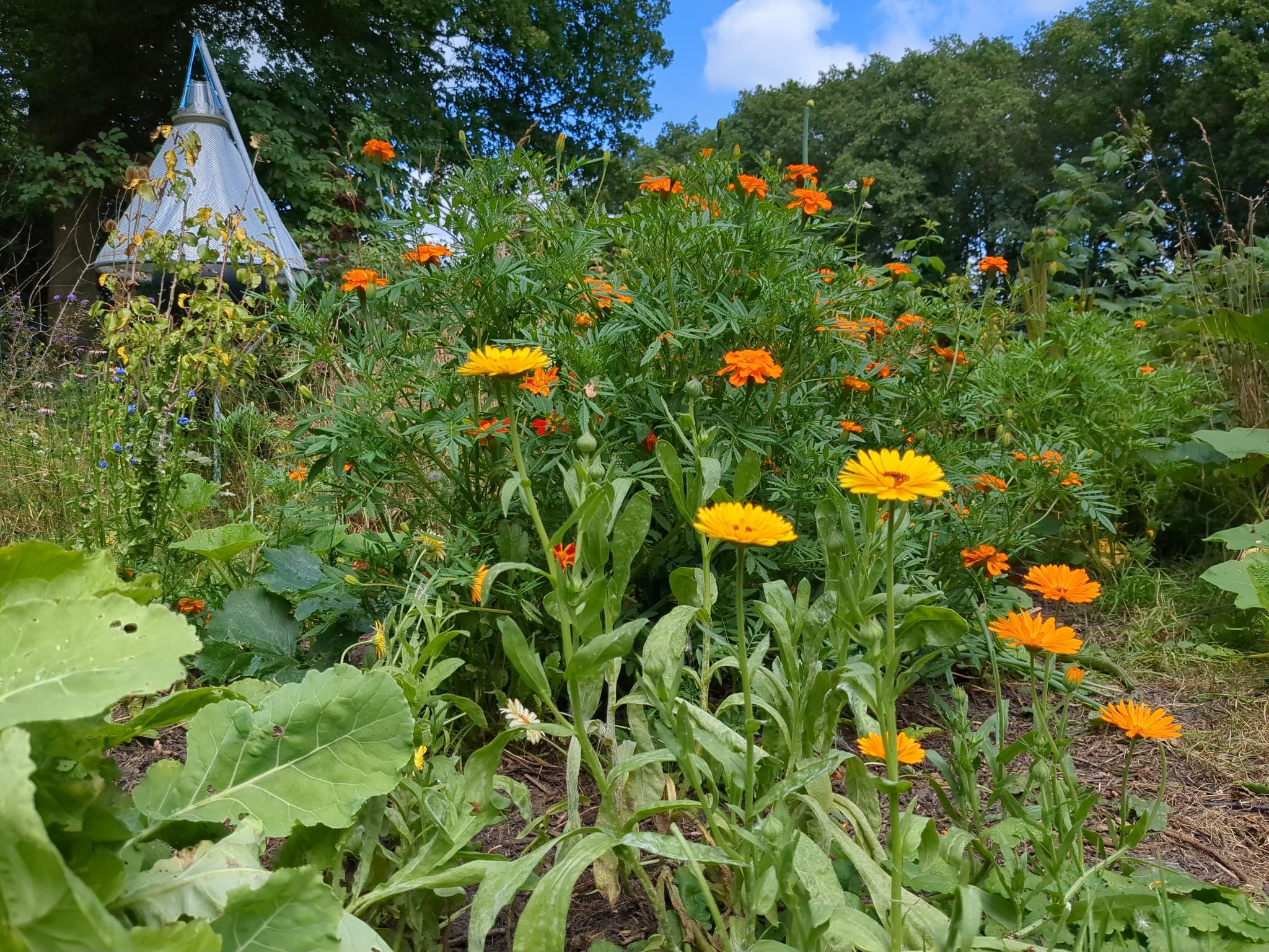 Naturhäuschen in Donkerbroek