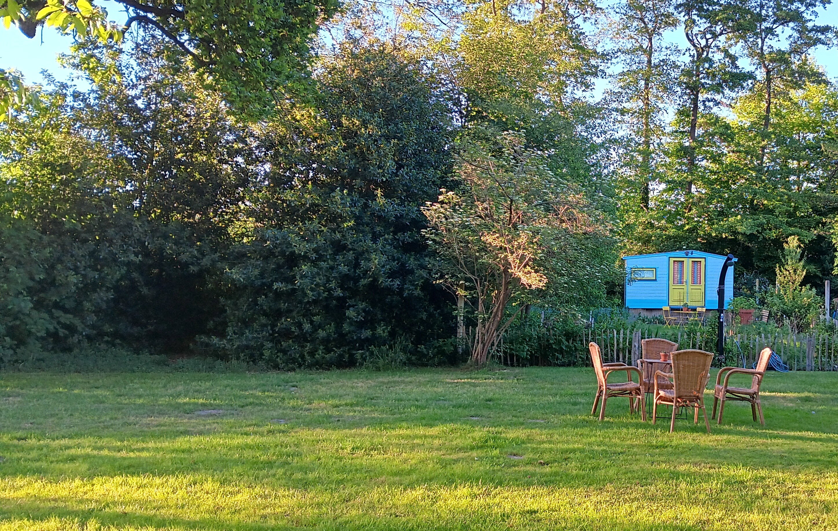 Maison nature à Ruinen