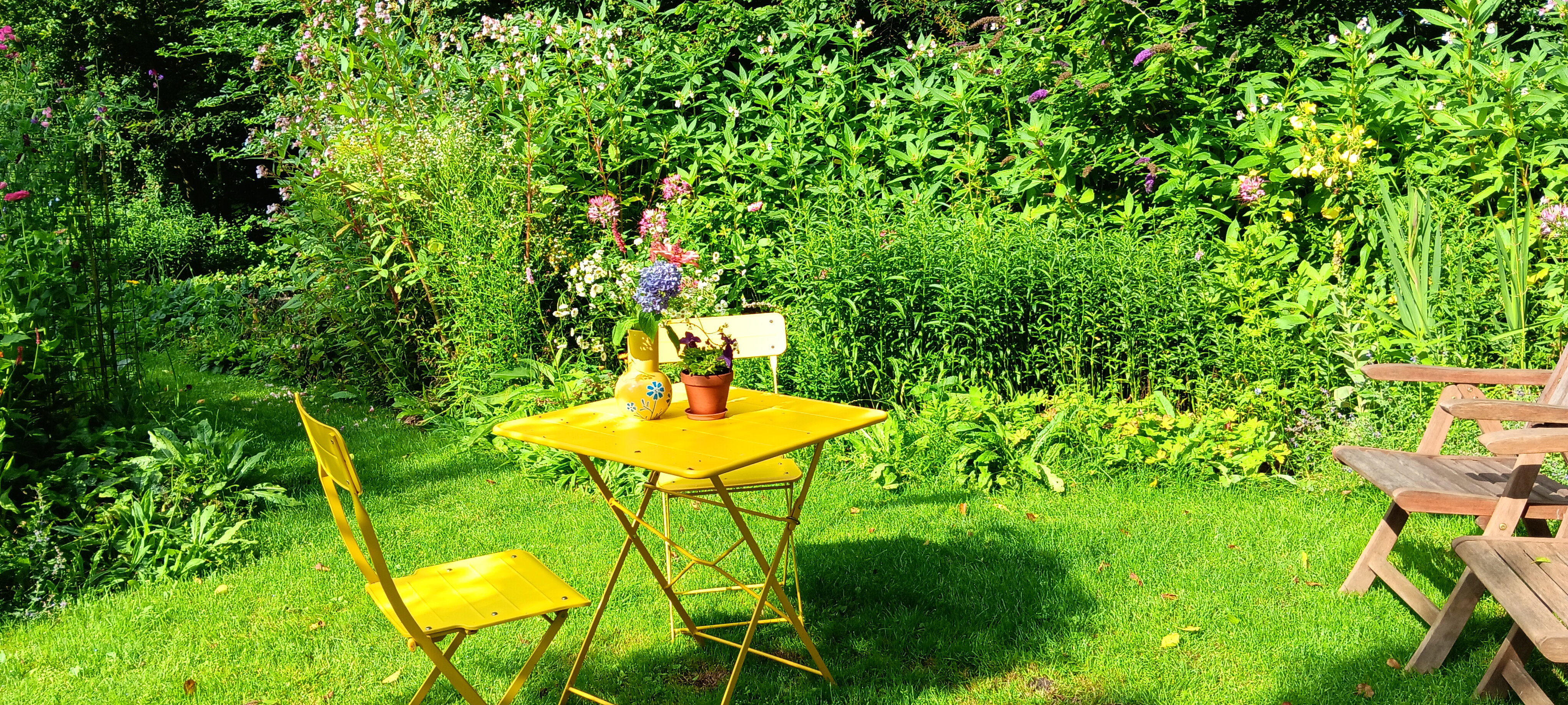 Maison nature à Ruinen