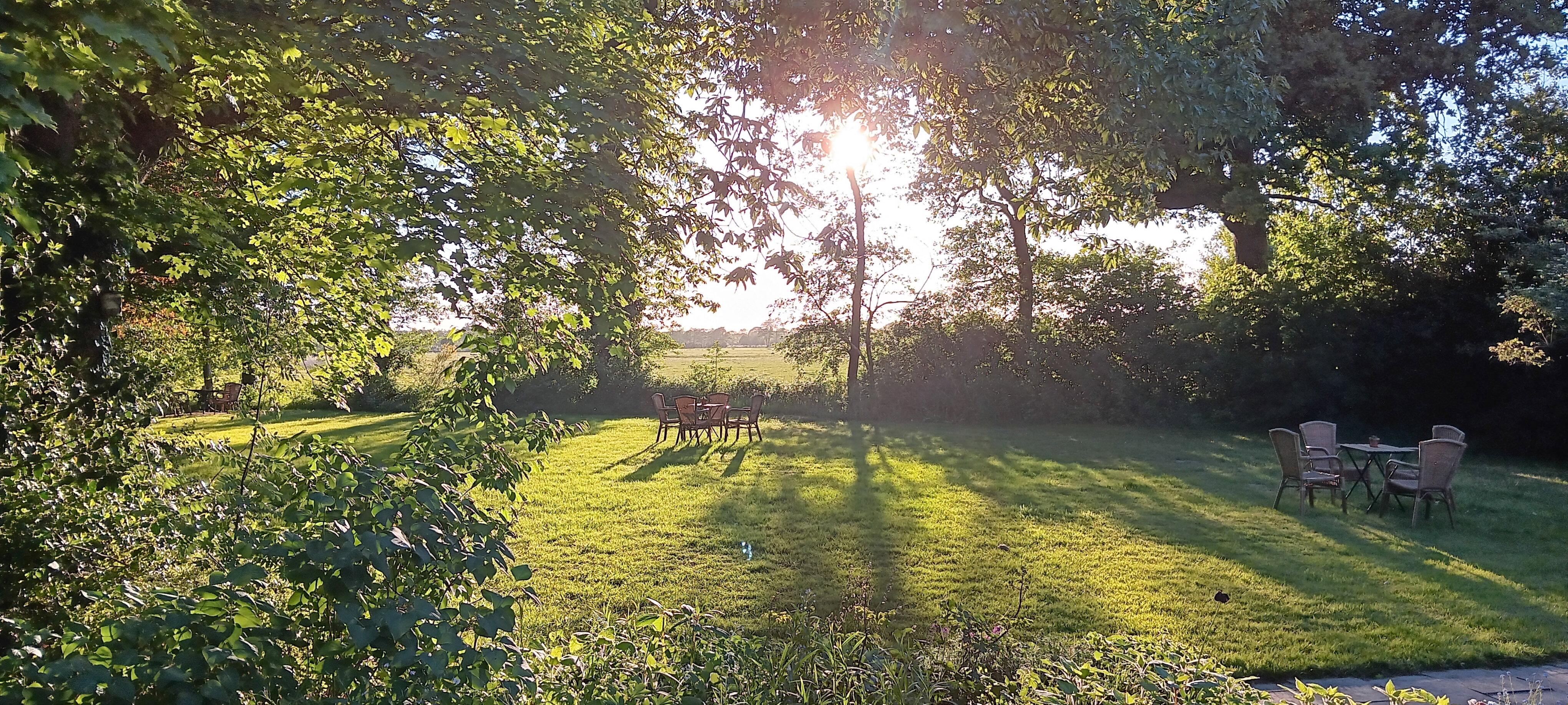 Maison nature à Ruinen