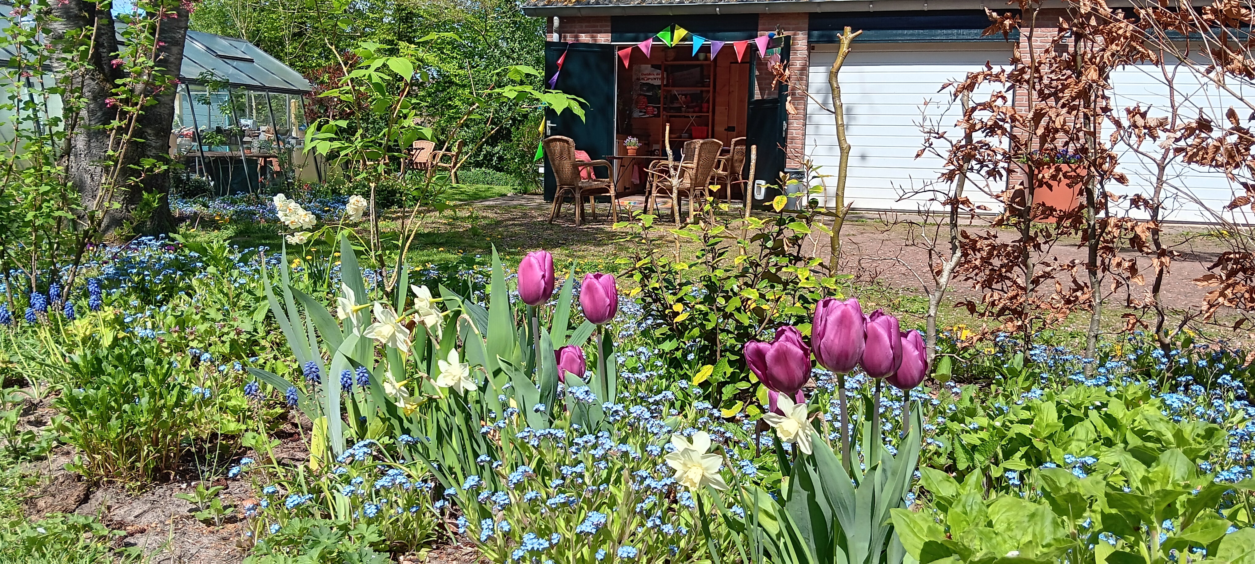 Maison nature à Ruinen