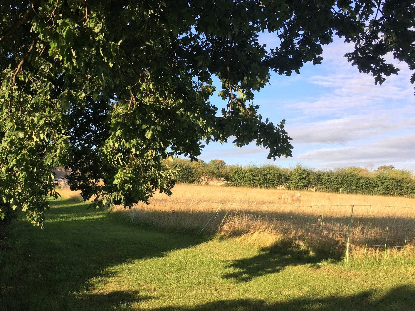 Casa nella natura a Mechernich - Wachendorf