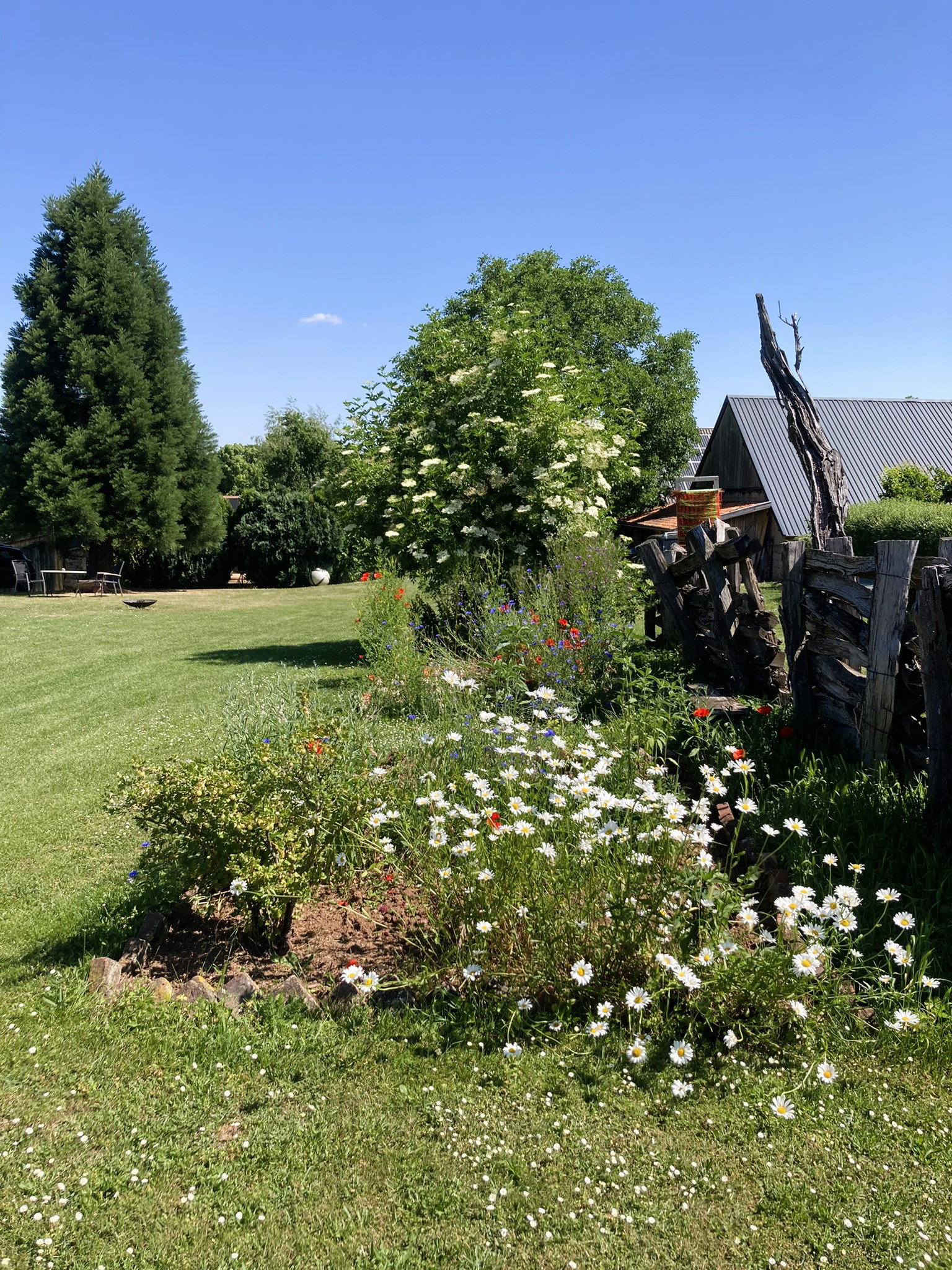 Casa nella natura a Mechernich - Wachendorf