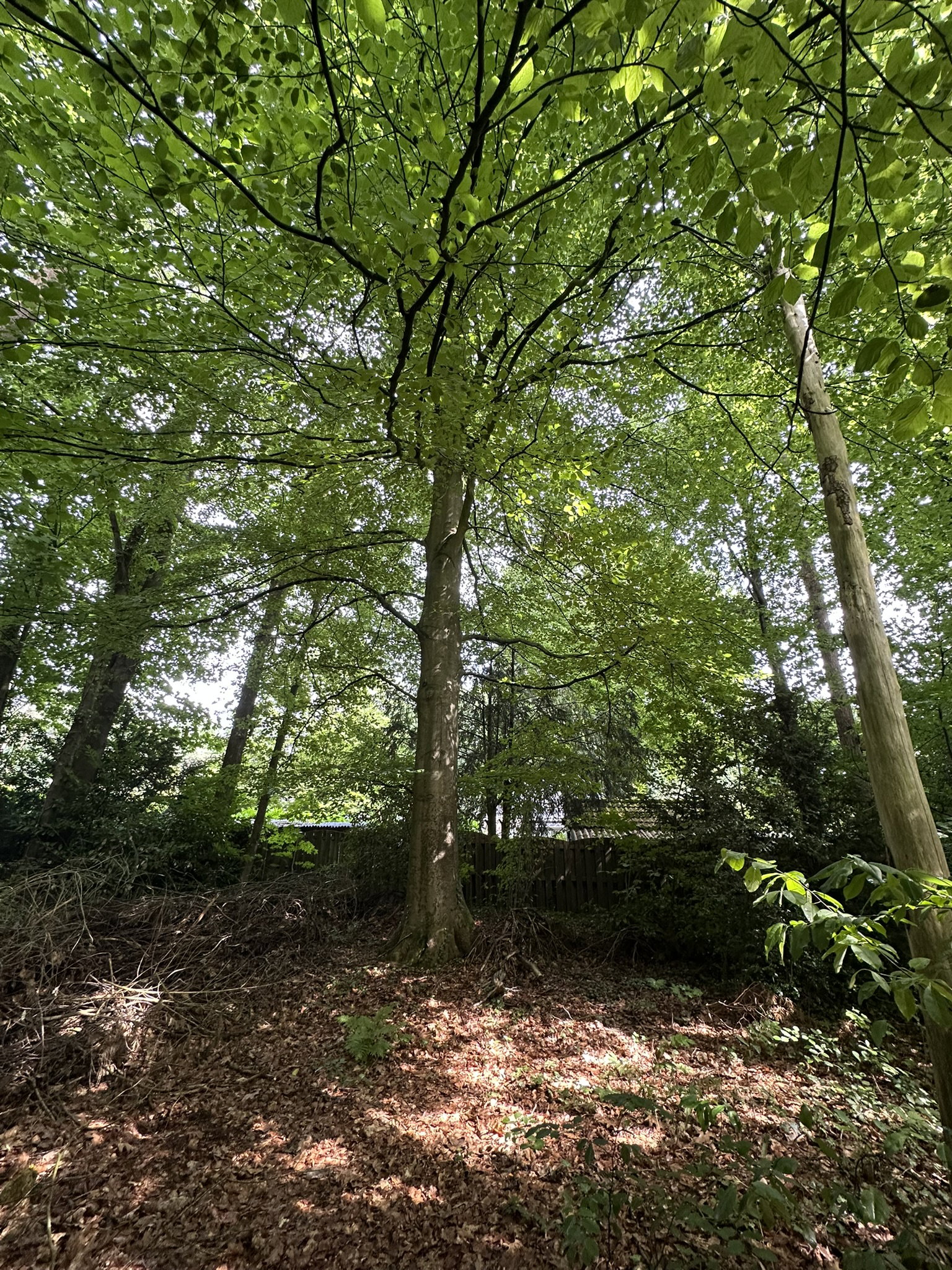 Casa nella natura a Eefde