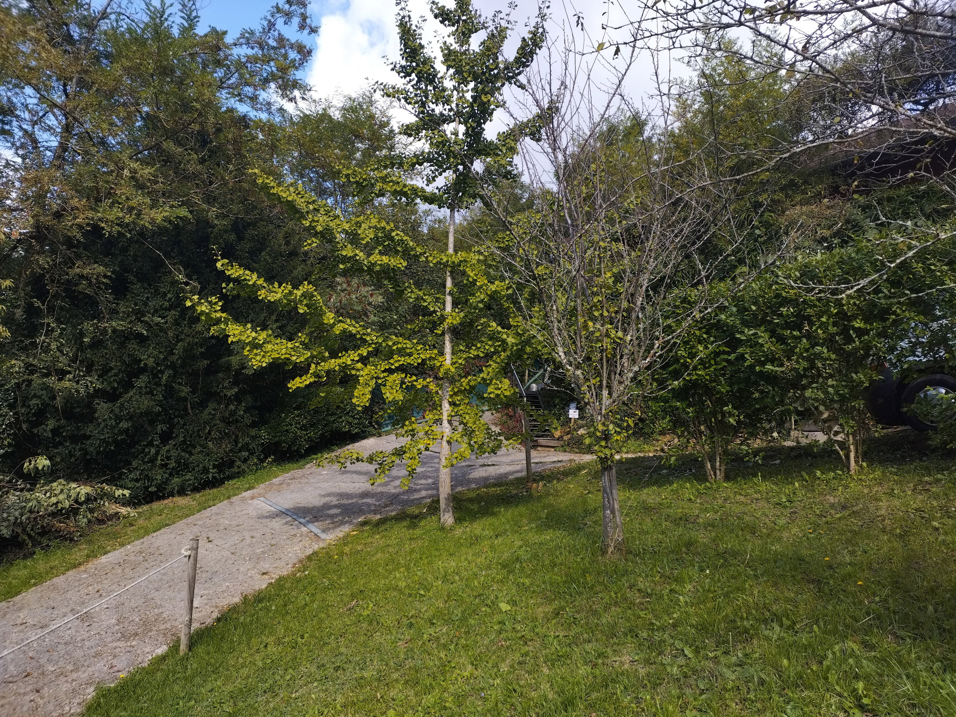 - image: 13