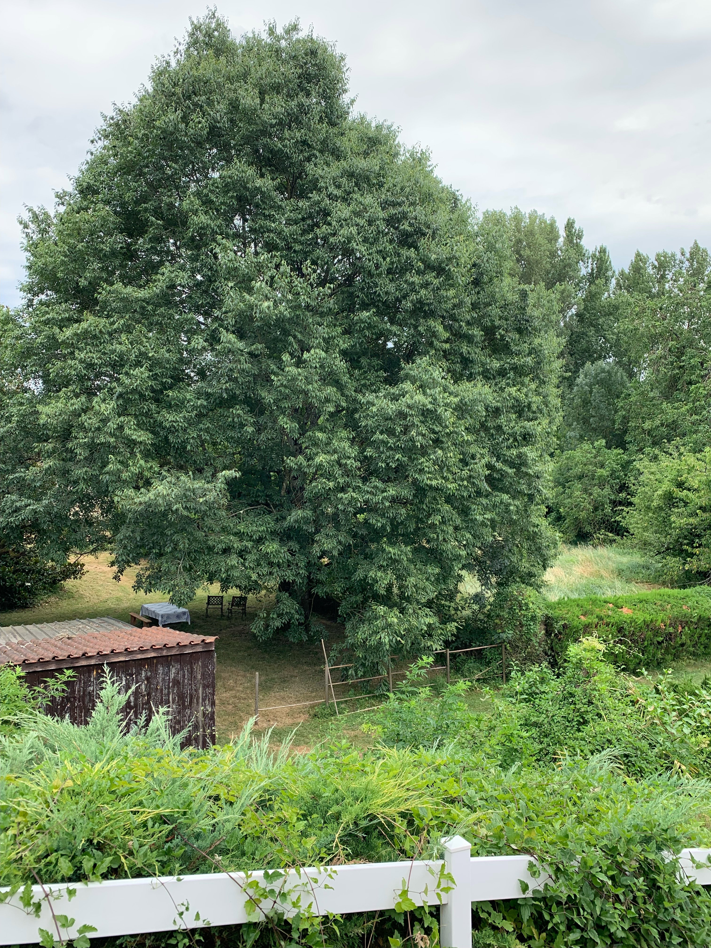 Natuurhuisje in Albi