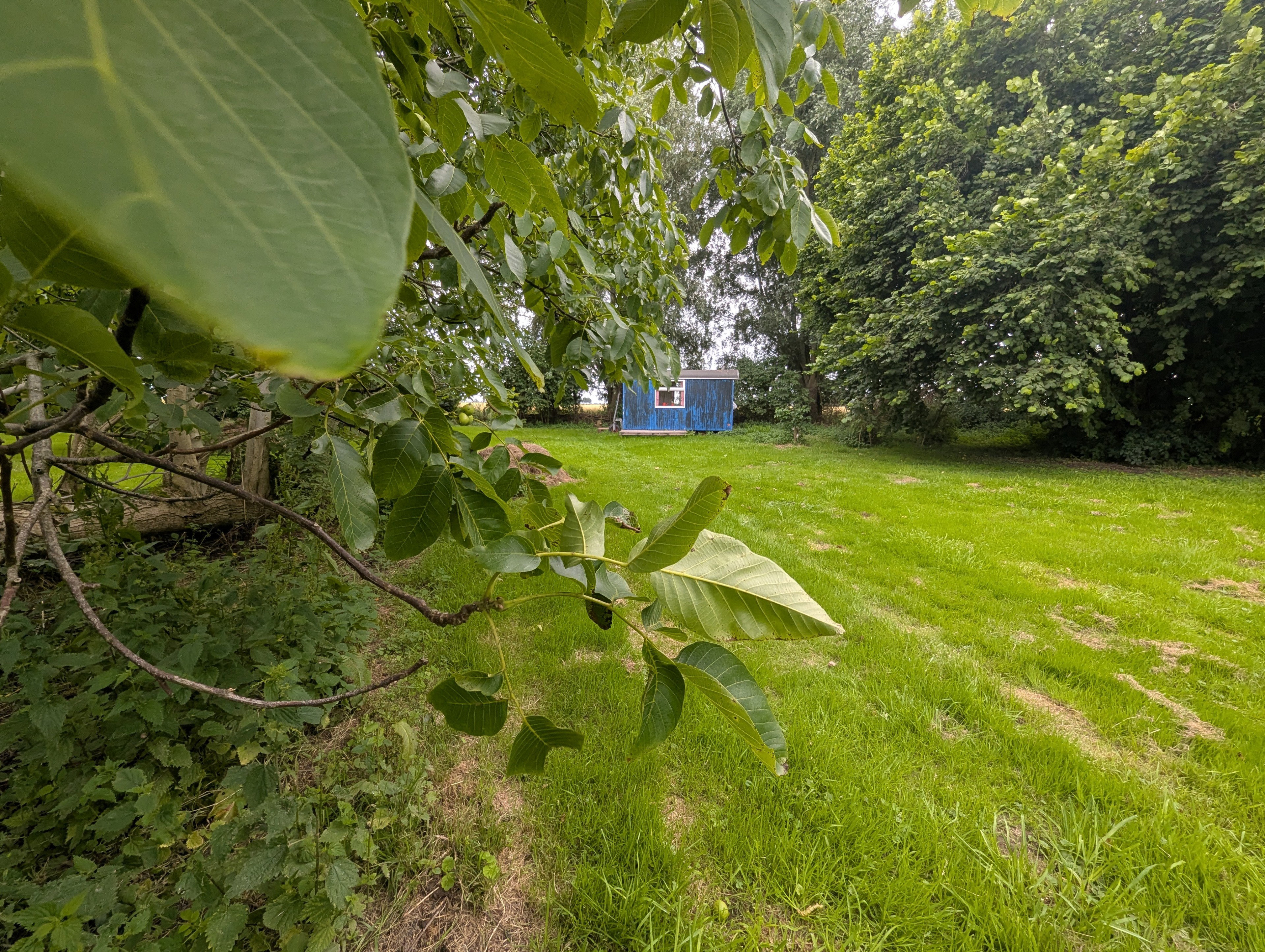 Casa nella natura a Warfhuizen