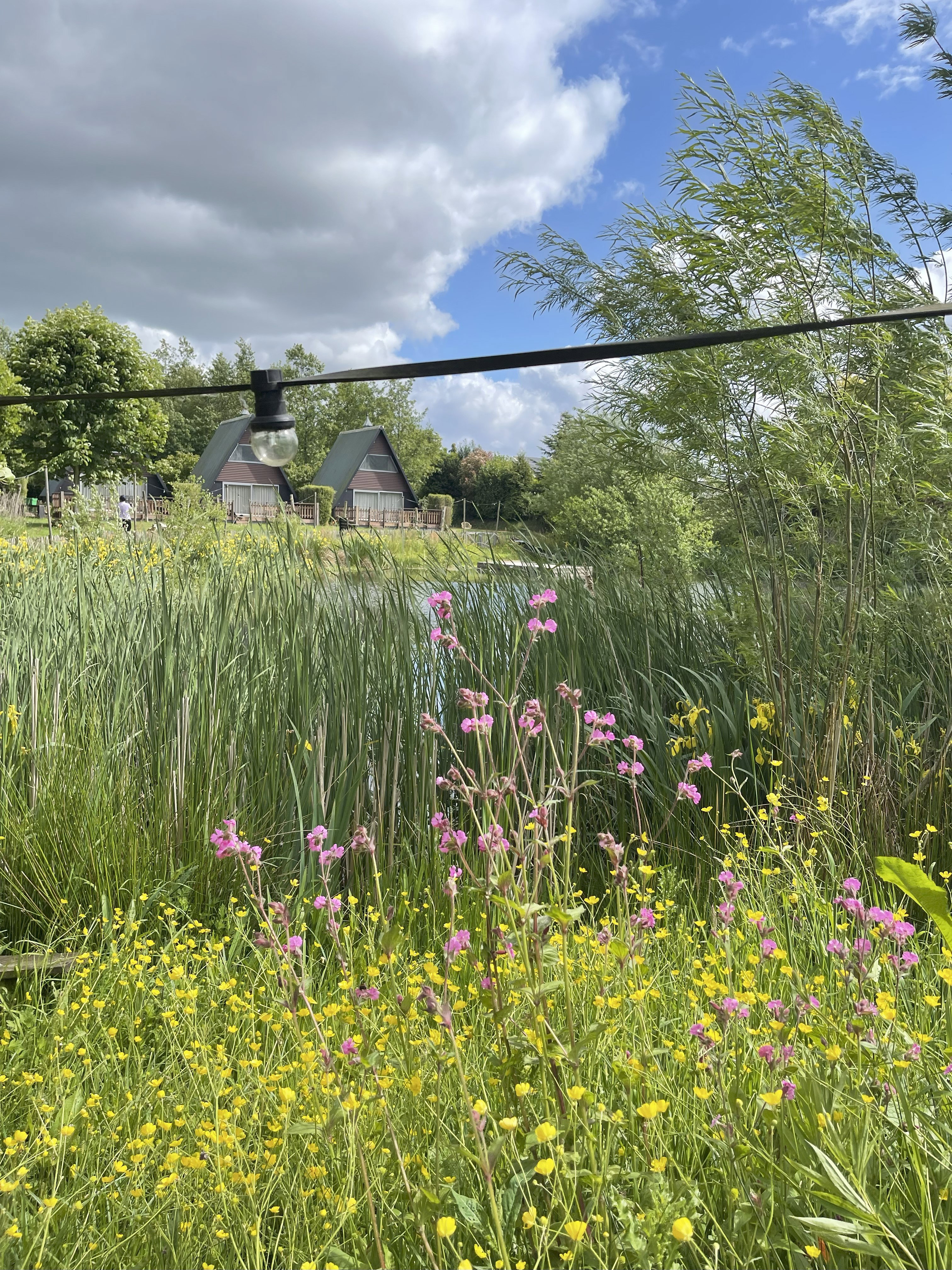 Natuurhuisje in Twijzelerheide