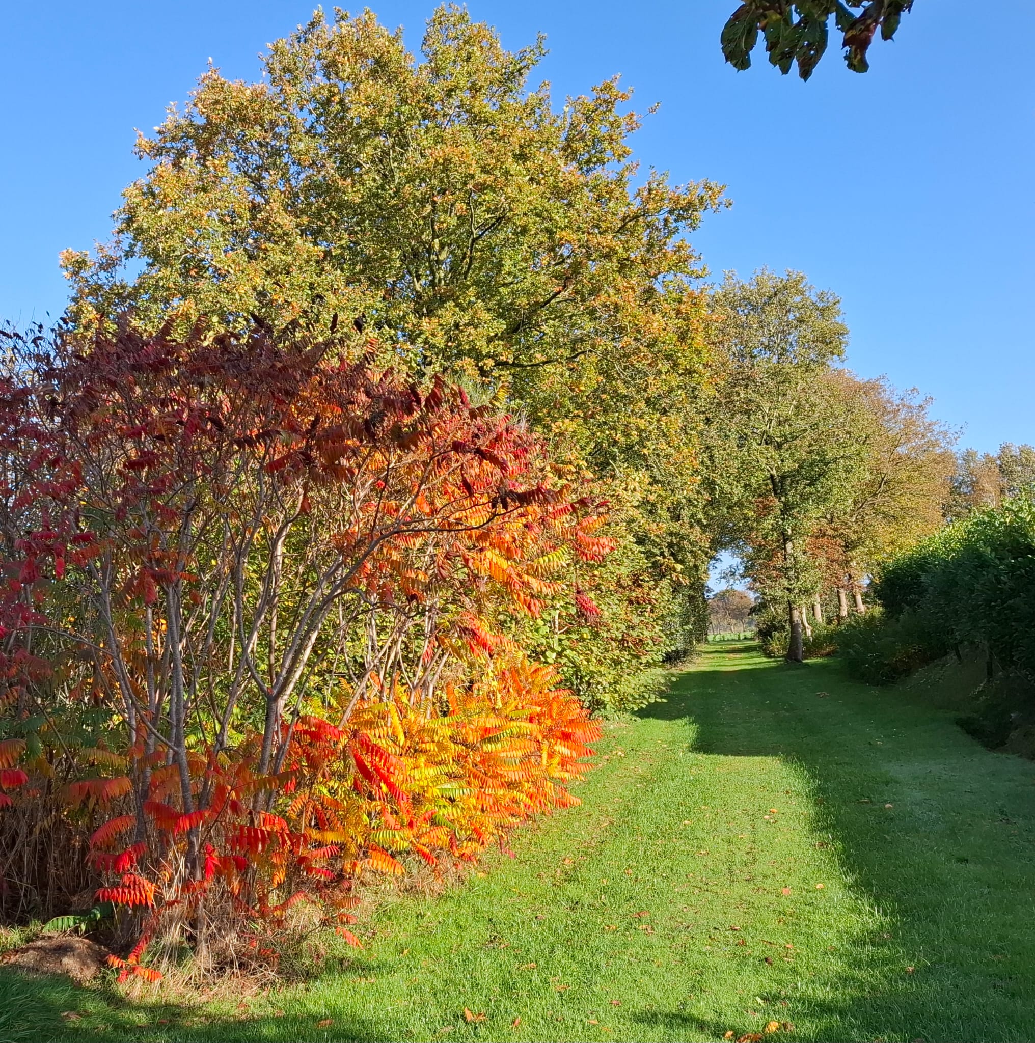 Natuurhuisje in Langelo