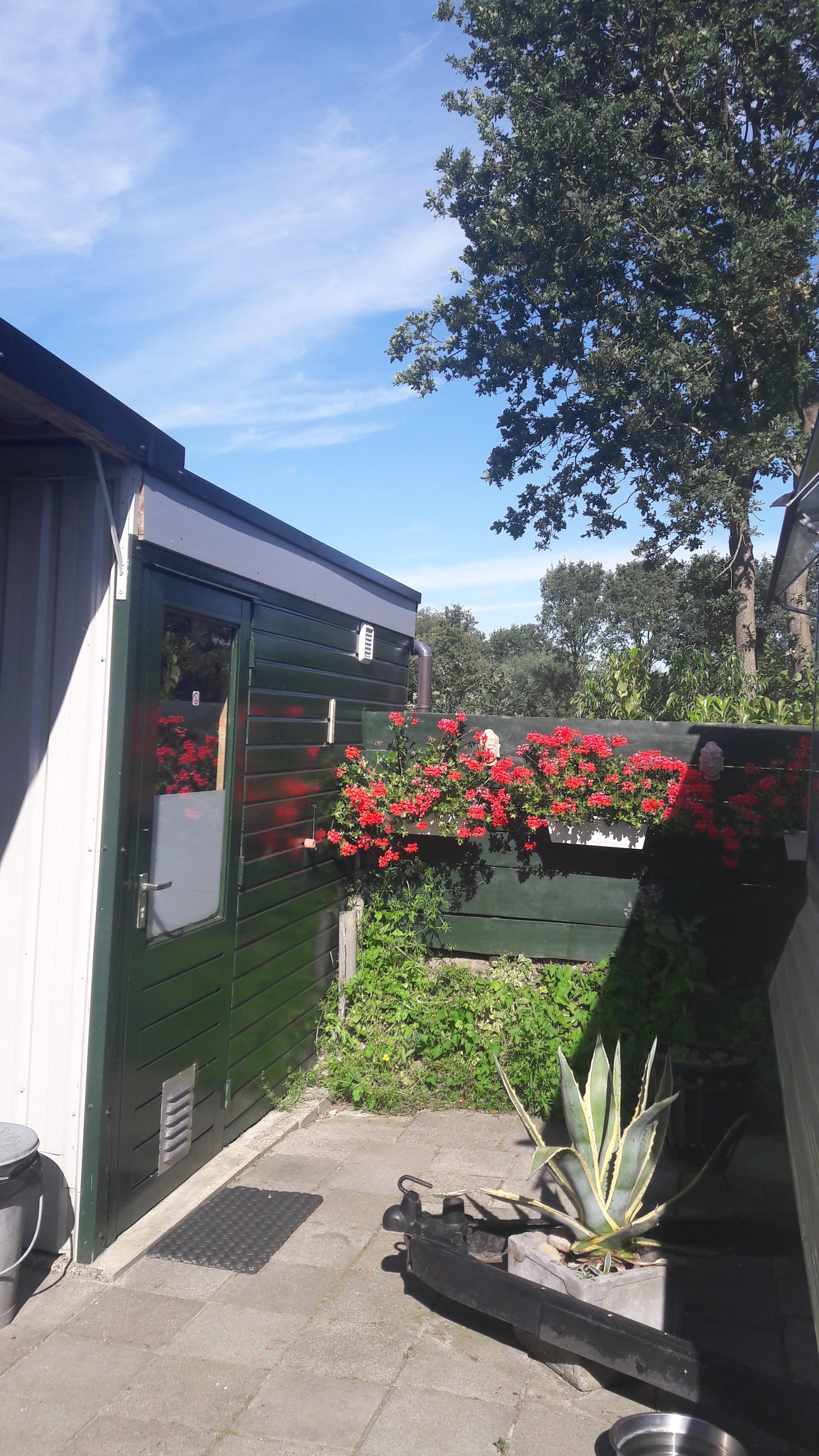 Natuurhuisje in Langelo