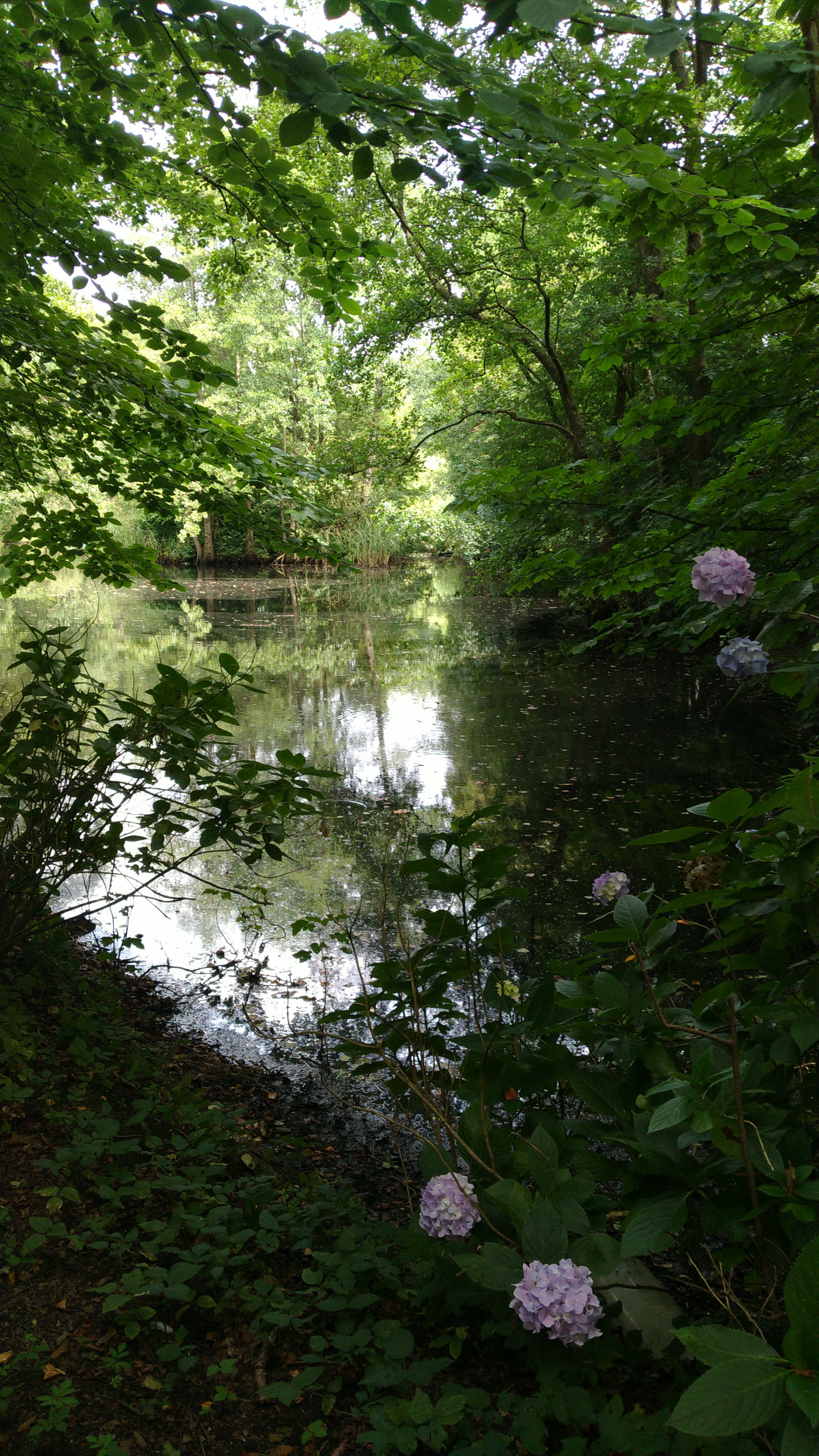 - image: 16