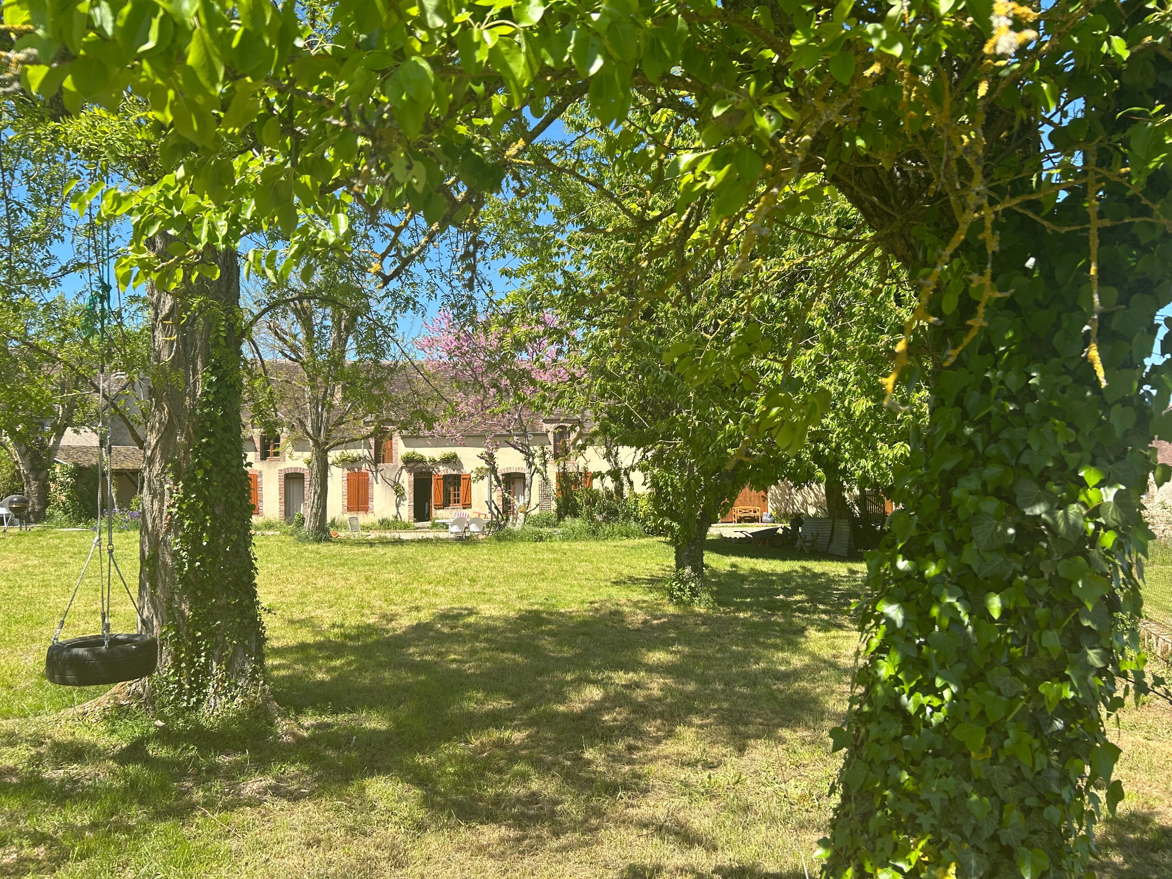 - image: 26