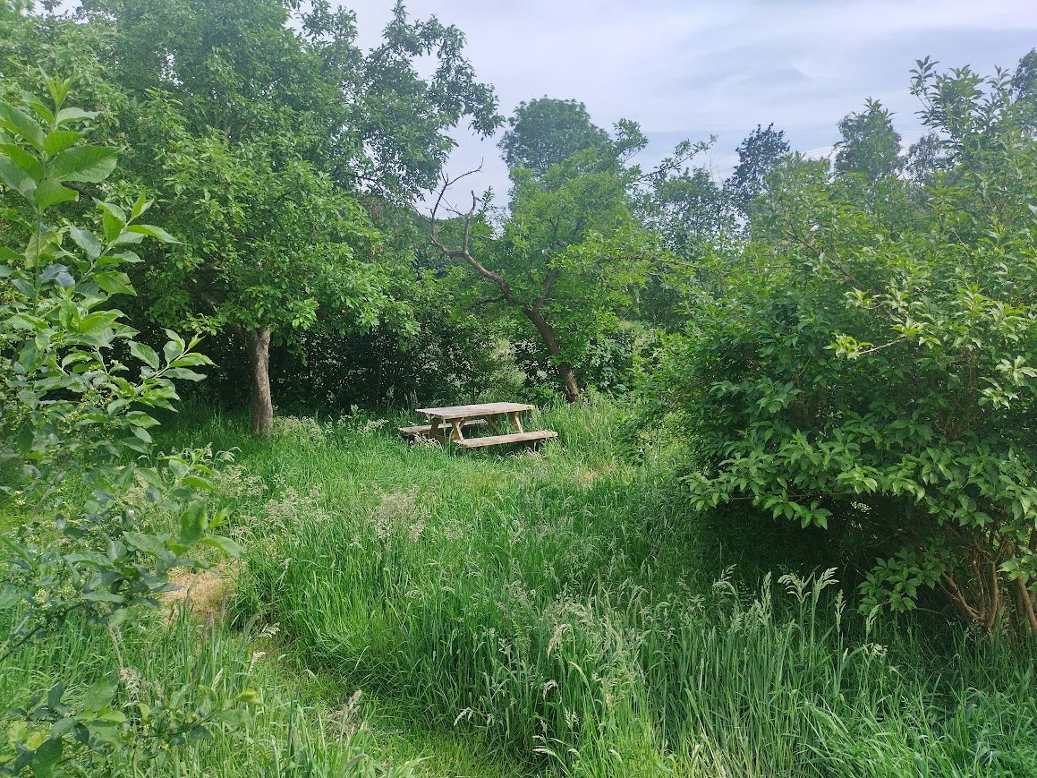 Natuurhuisje in De Krim