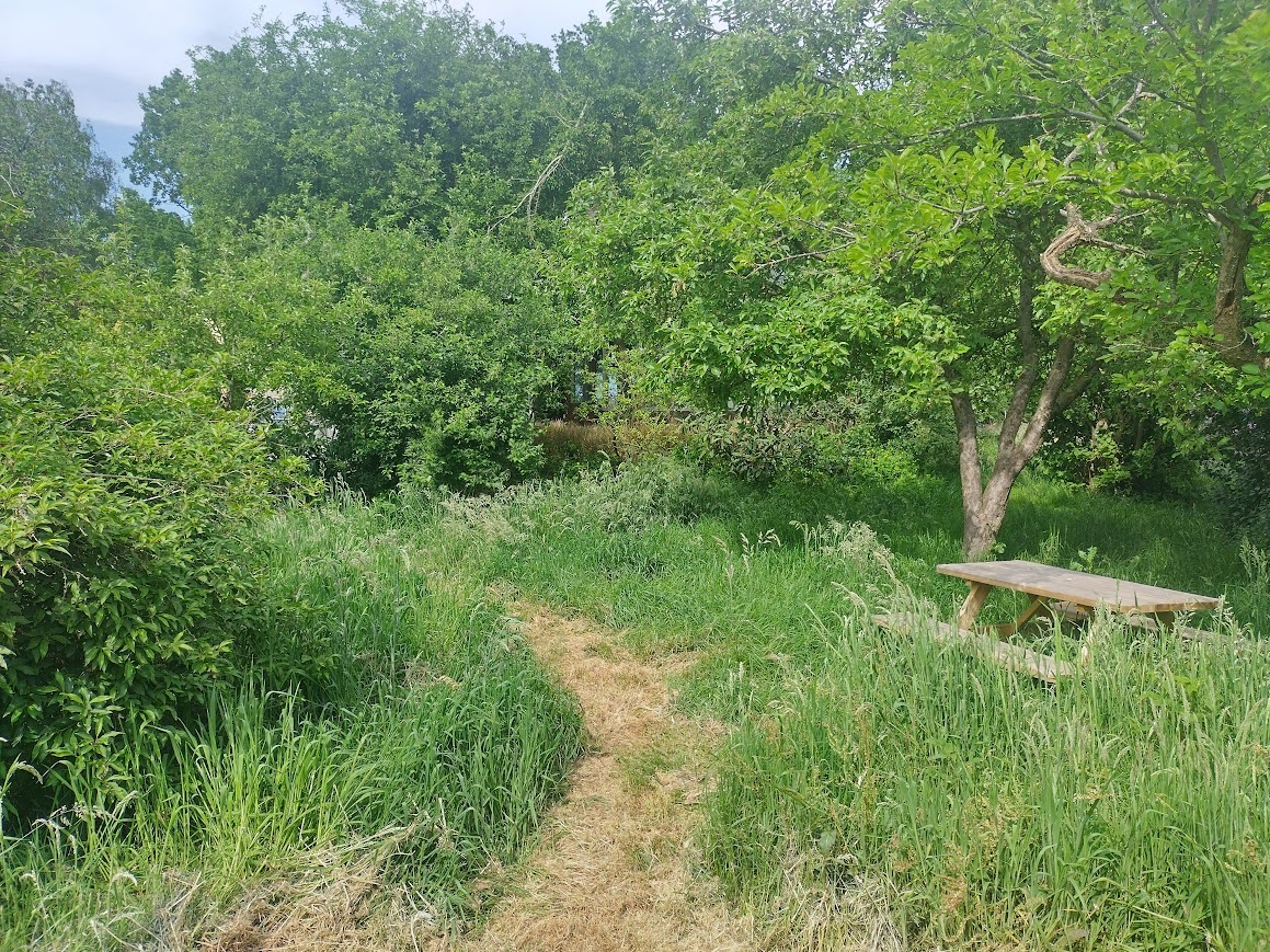Natuurhuisje in De Krim