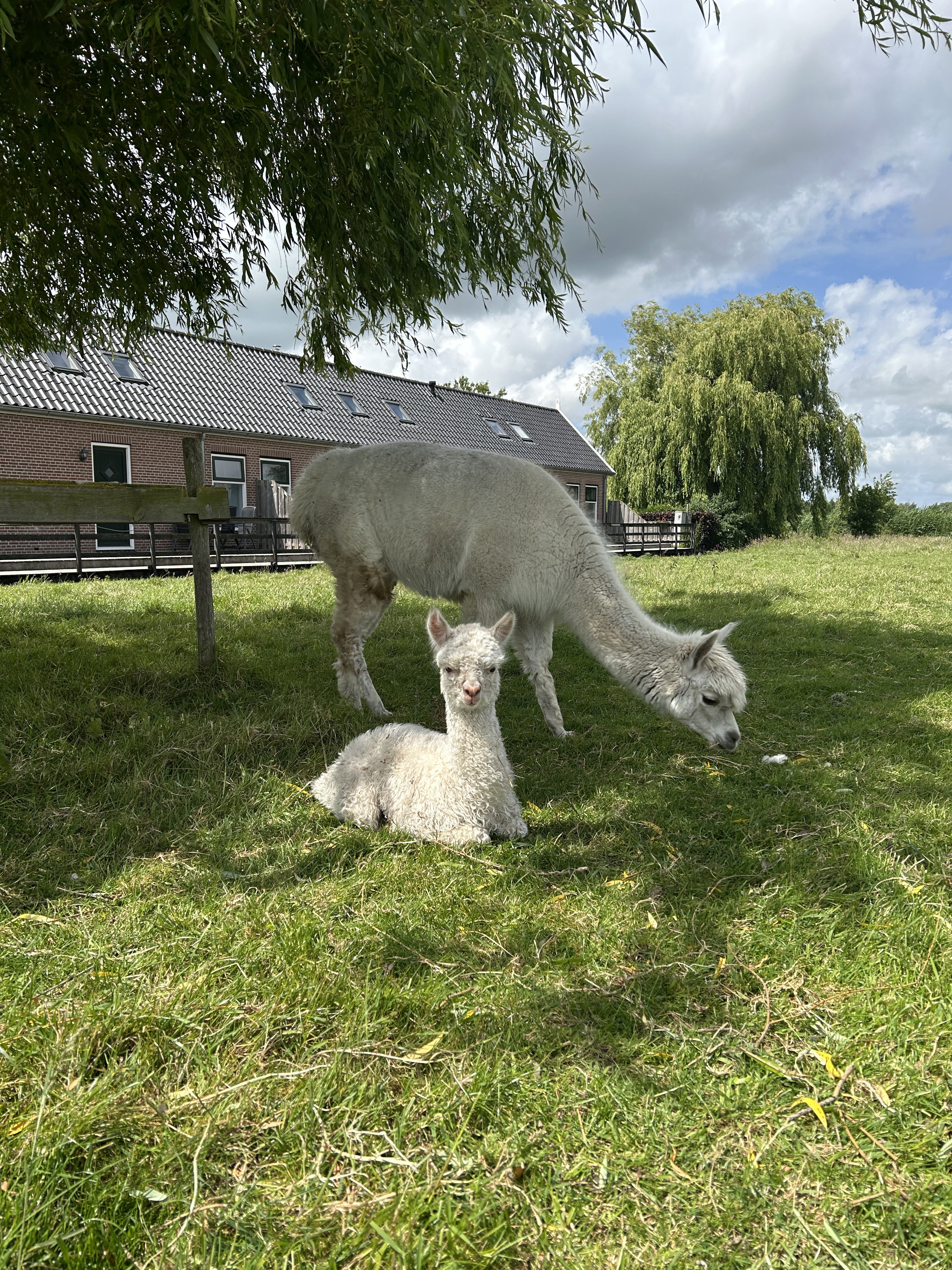 Natuurhuisje in Alphen aan den Rijn