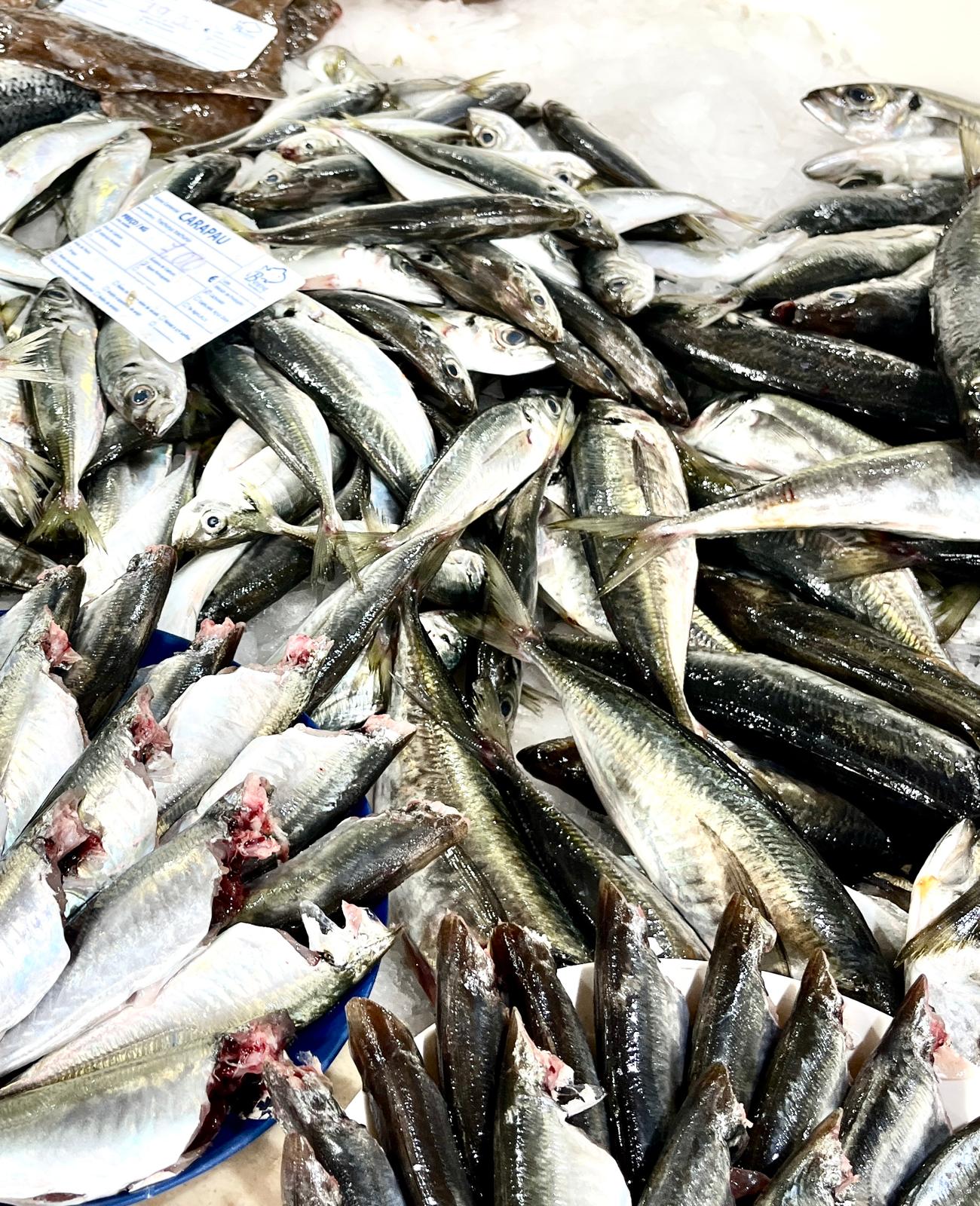 - image: 24