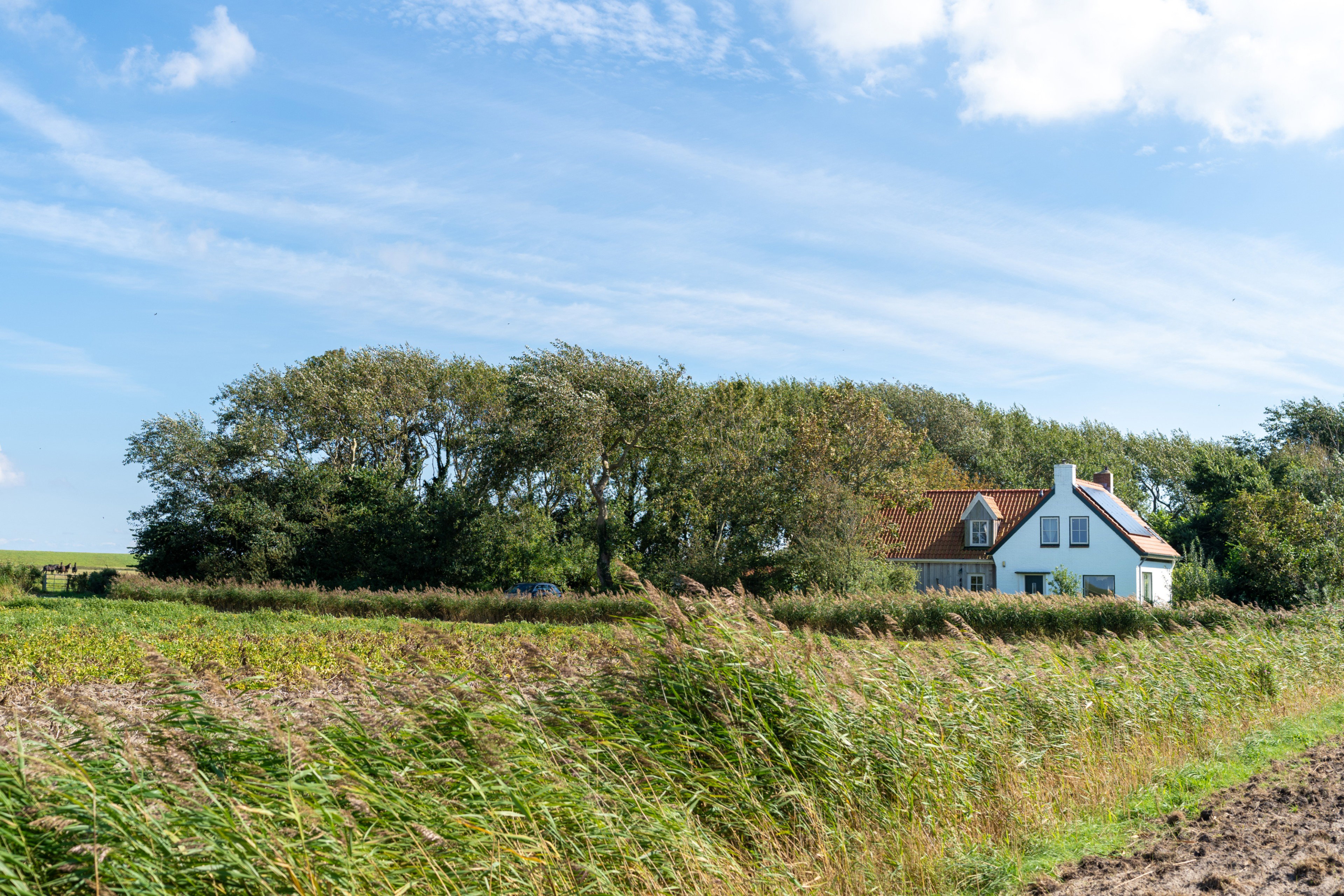 Naturhäuschen in De Cocksdorp