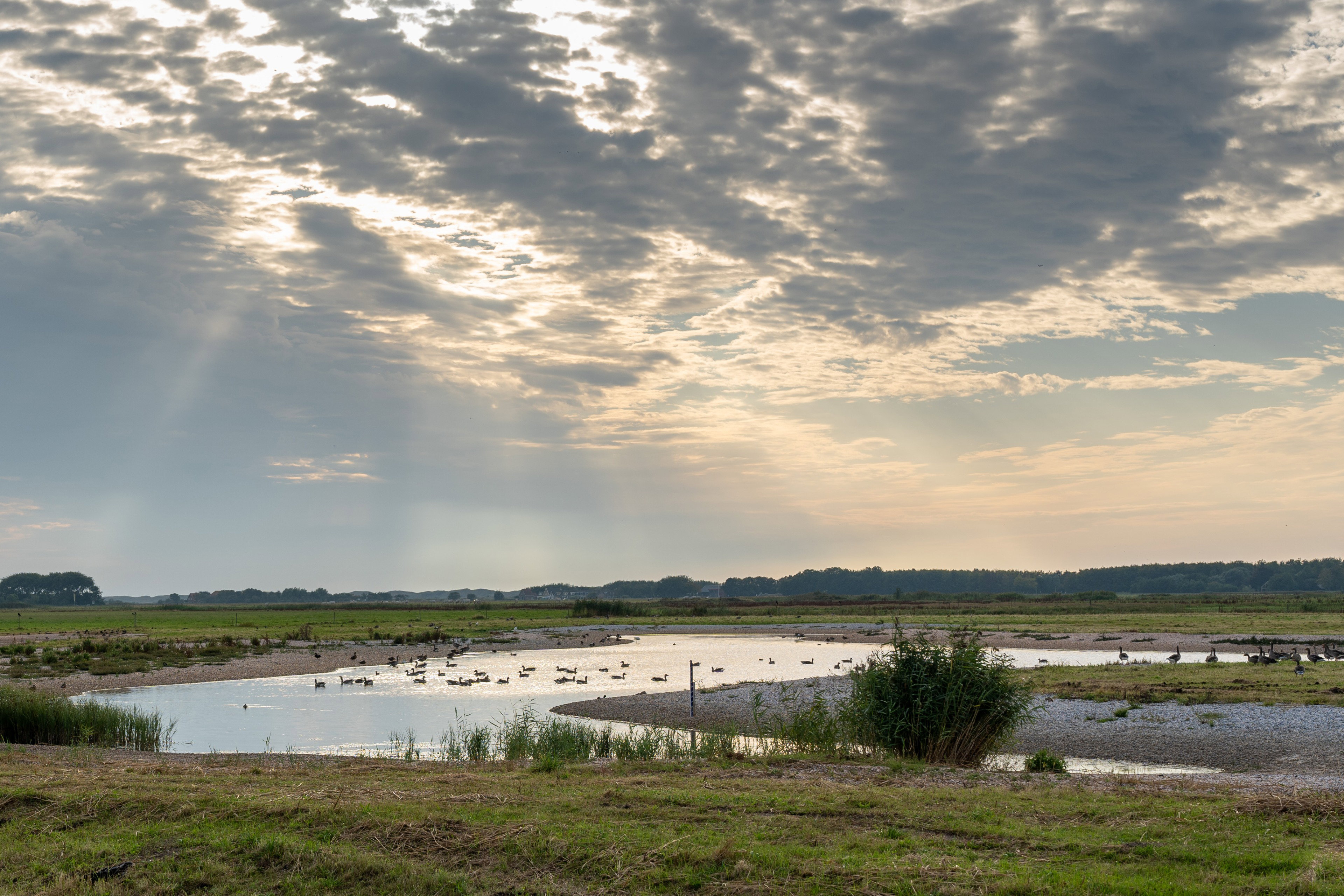 Naturhäuschen in De Cocksdorp
