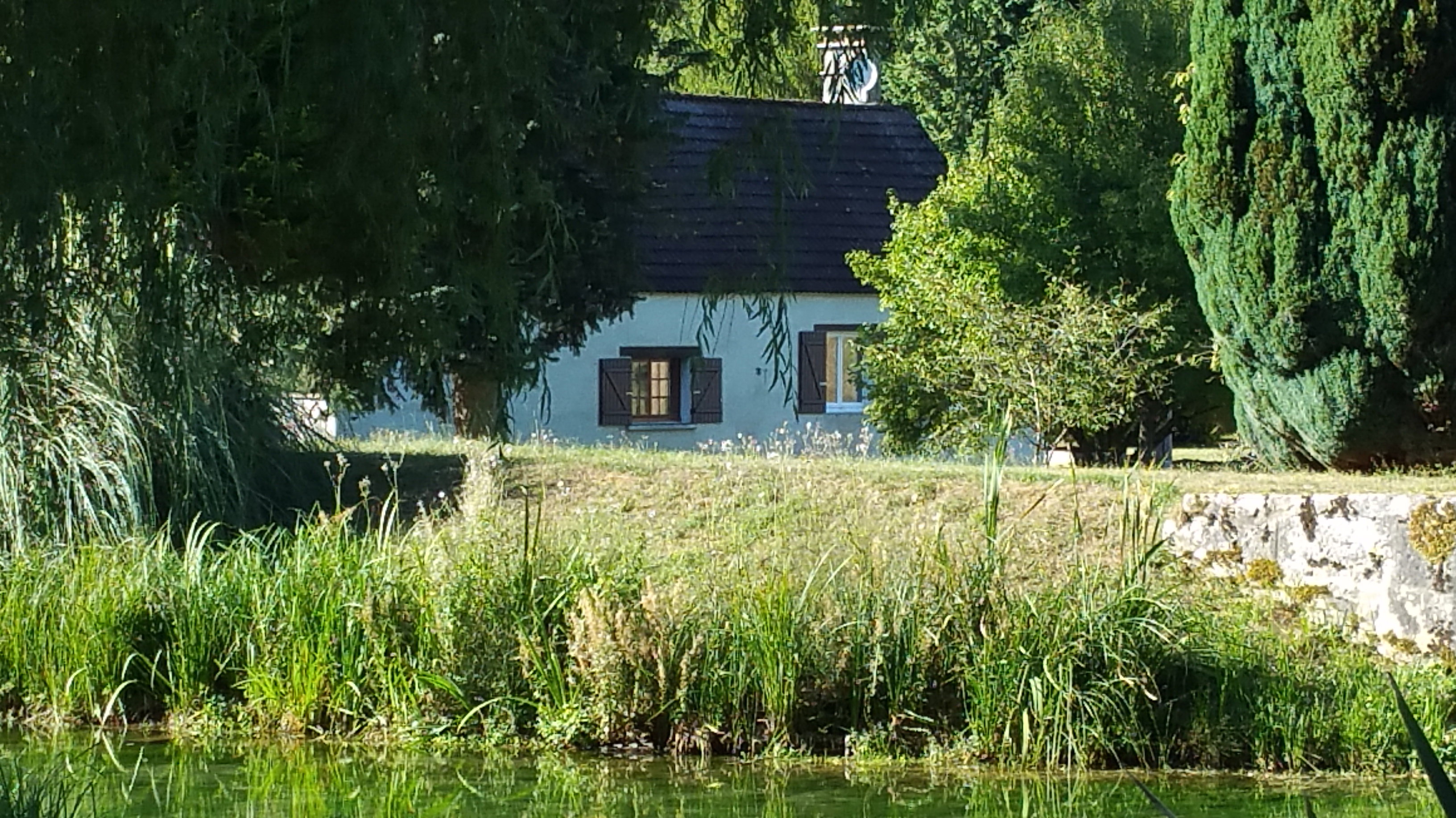 - image: 1