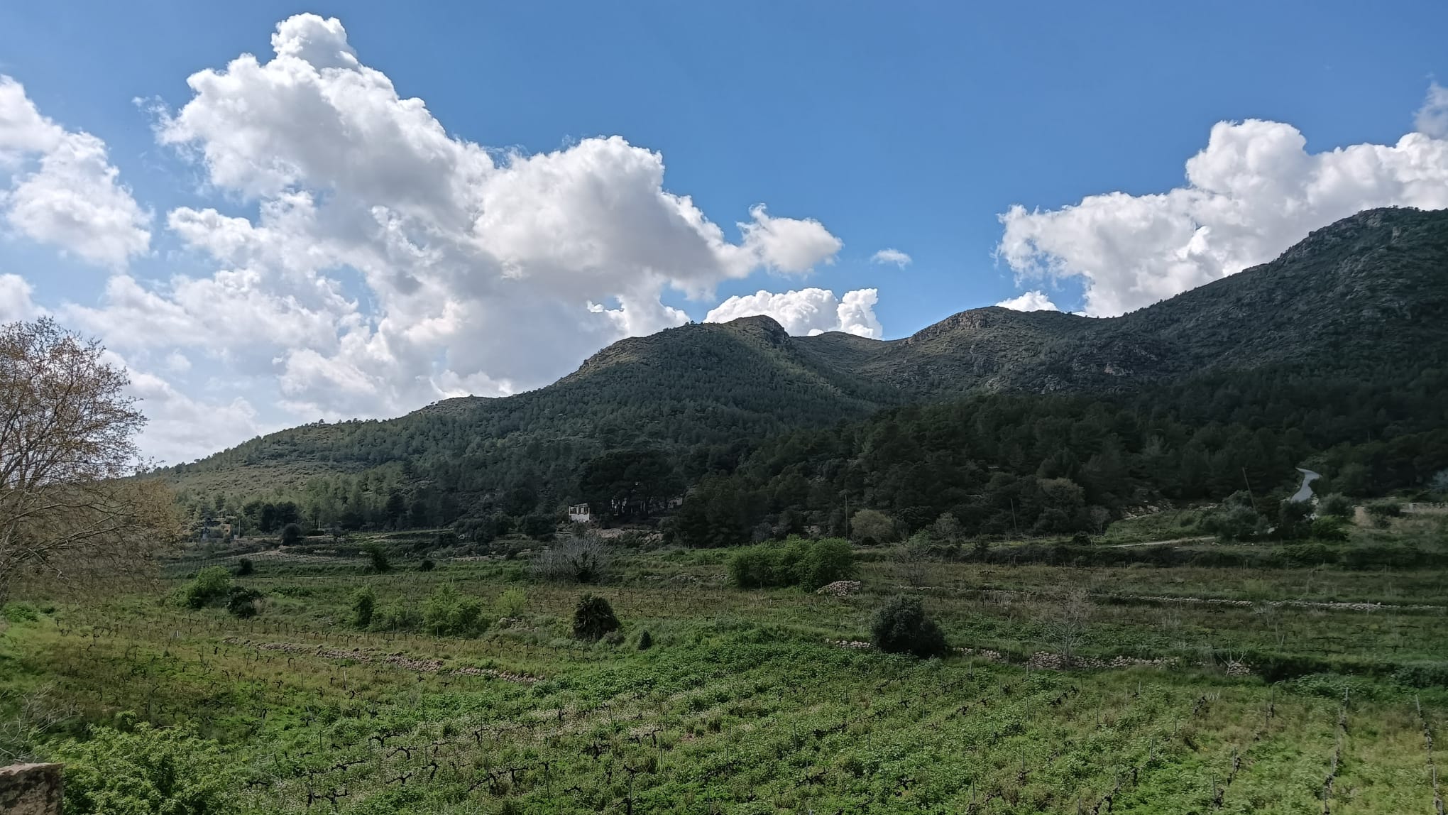 Casa nella natura a La Joncosa de Montmell
