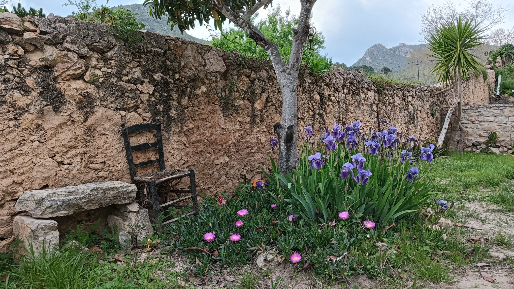 Casa nella natura a La Joncosa de Montmell