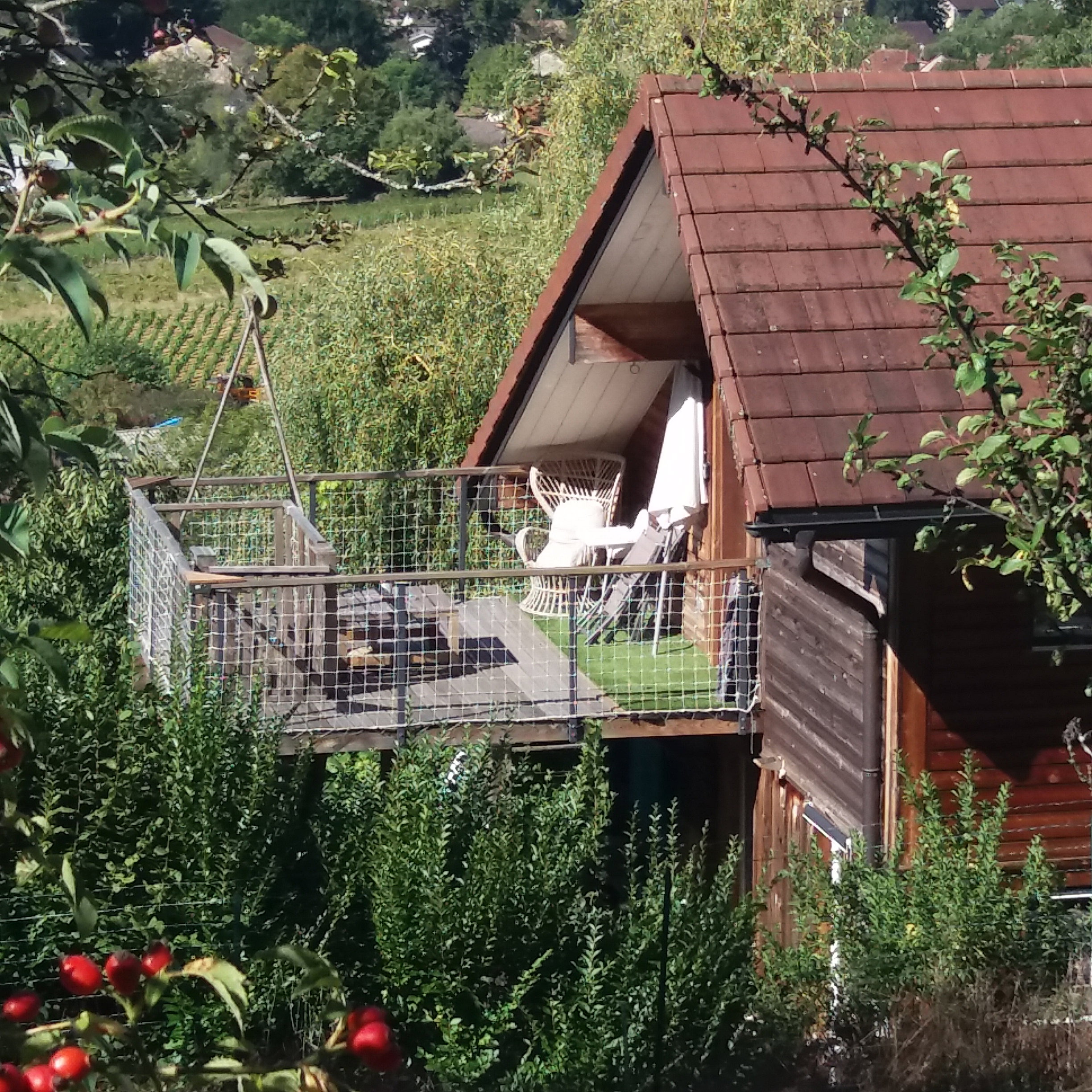 Natuurhuisje in ARBOIS