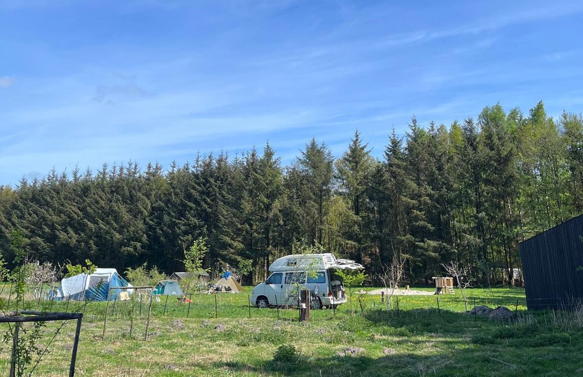 Natuurhuisje in Vriescheloo