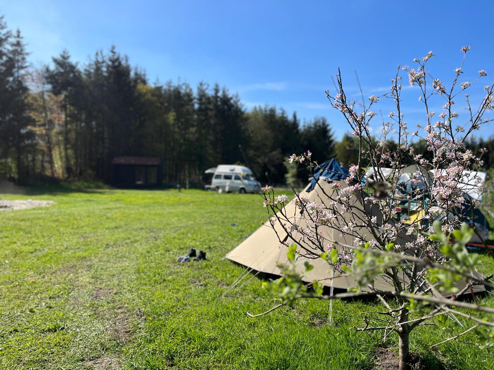 Natuurhuisje in Vriescheloo