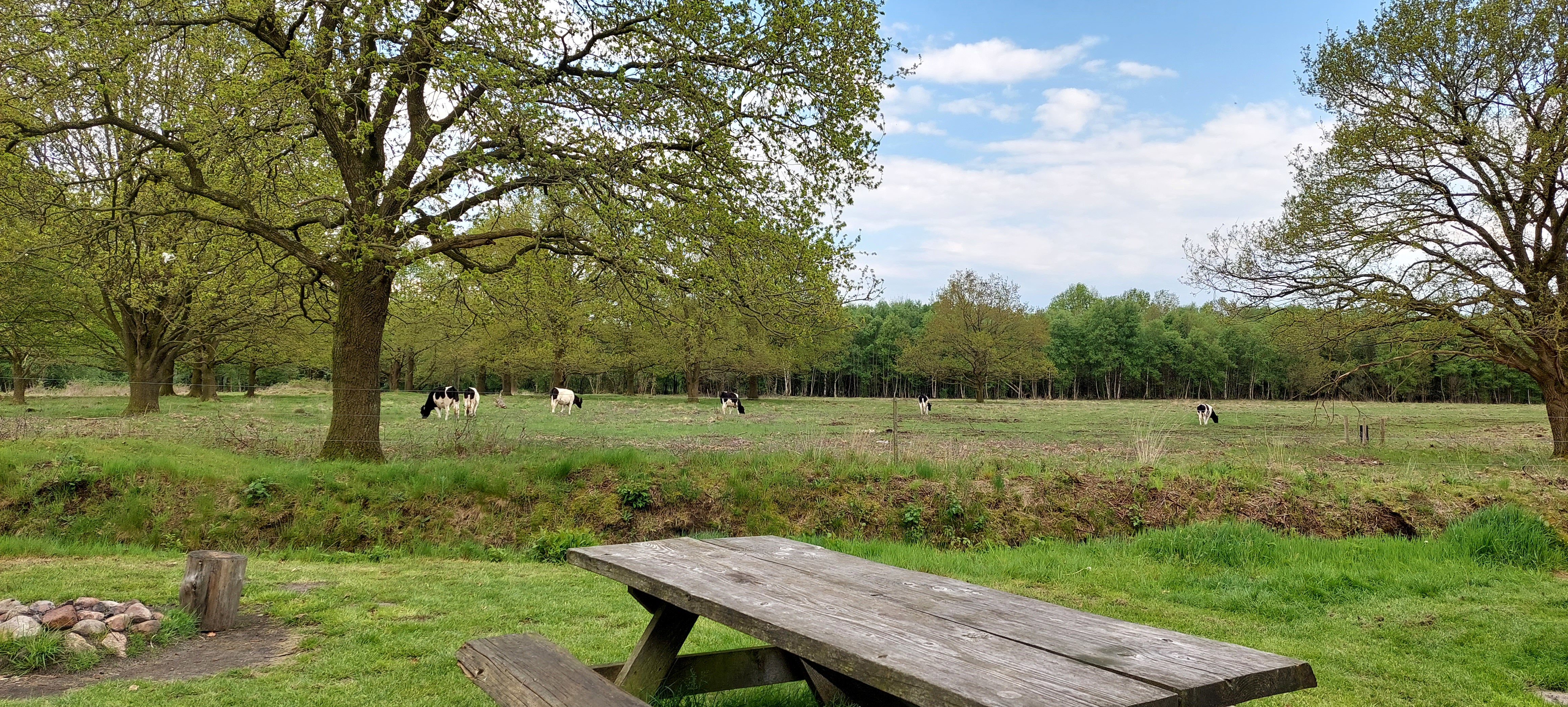 Natuurhuisje in Mantinge