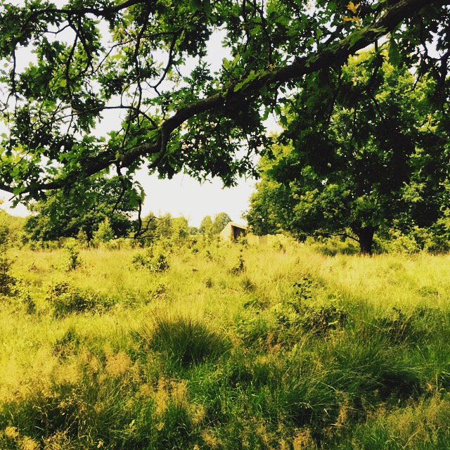 Natuurhuisje in Mantinge