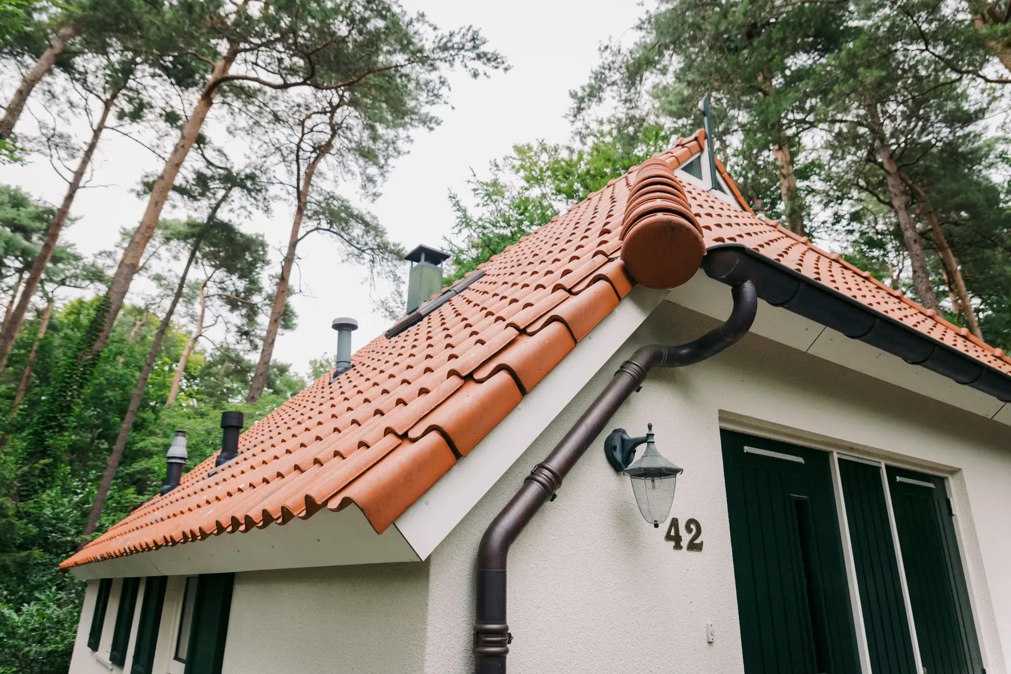 Natuurhuisje in IJhorst