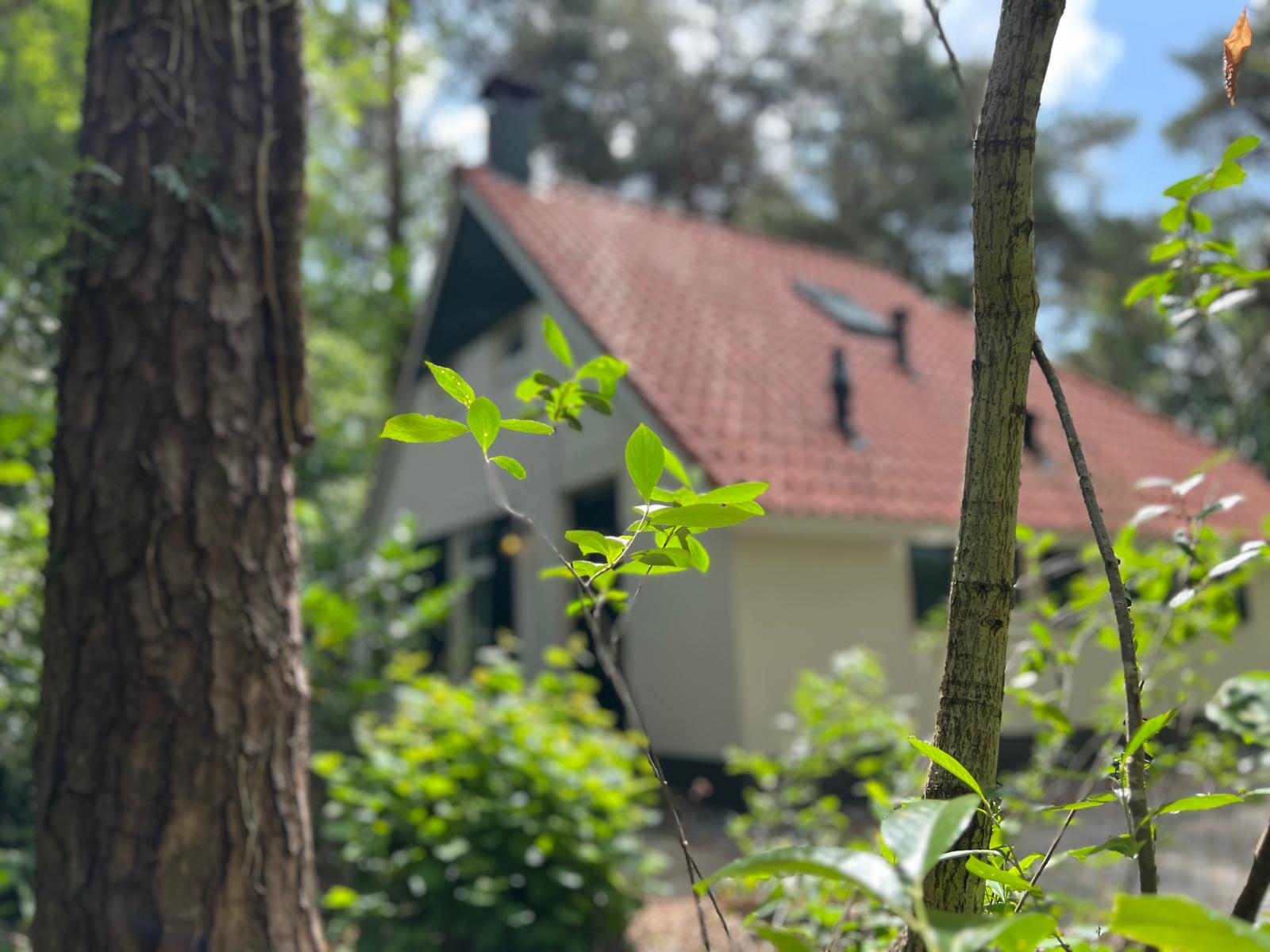 Natuurhuisje in IJhorst