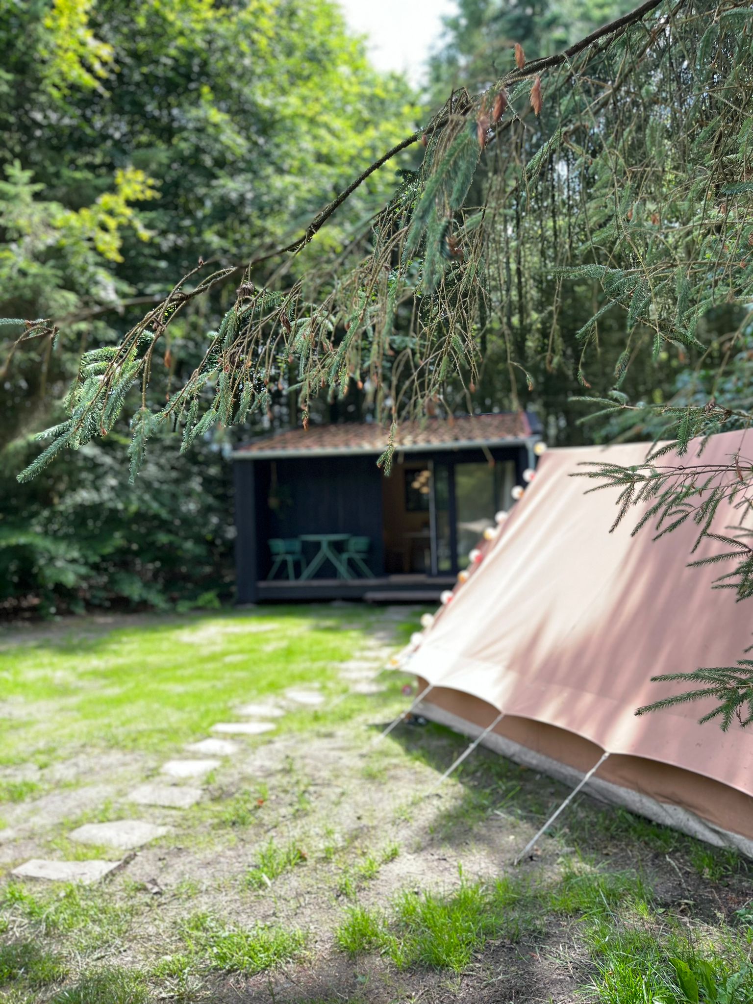 Maison nature à Vriescheloo