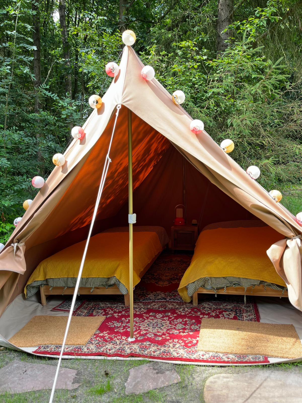 Natuurhuisje in Vriescheloo