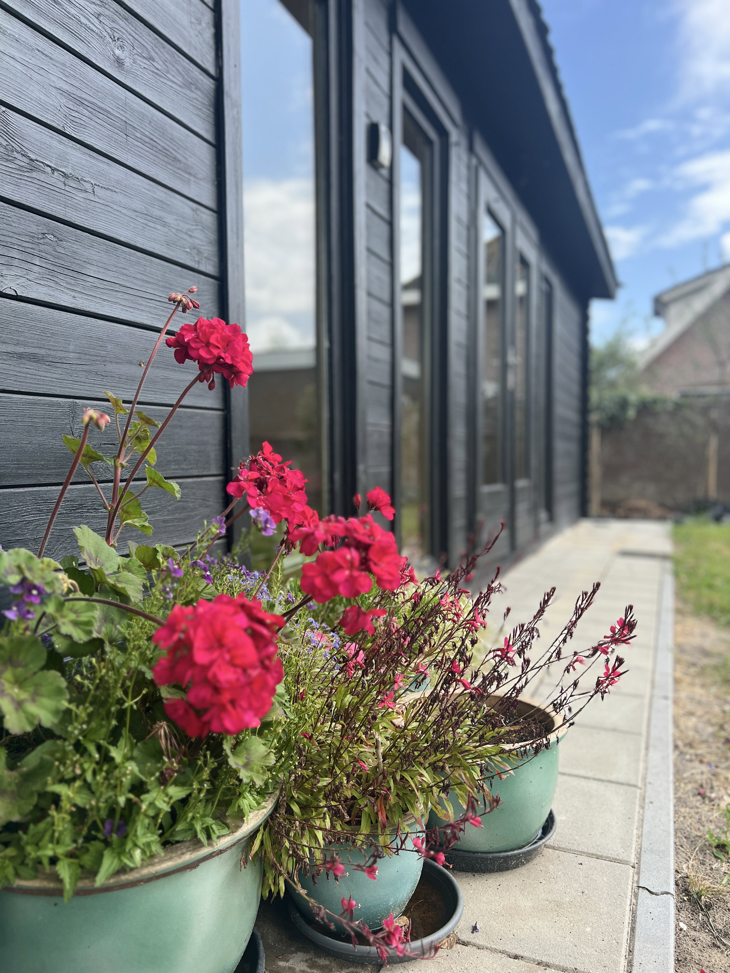 Natuurhuisje in Callantsoog