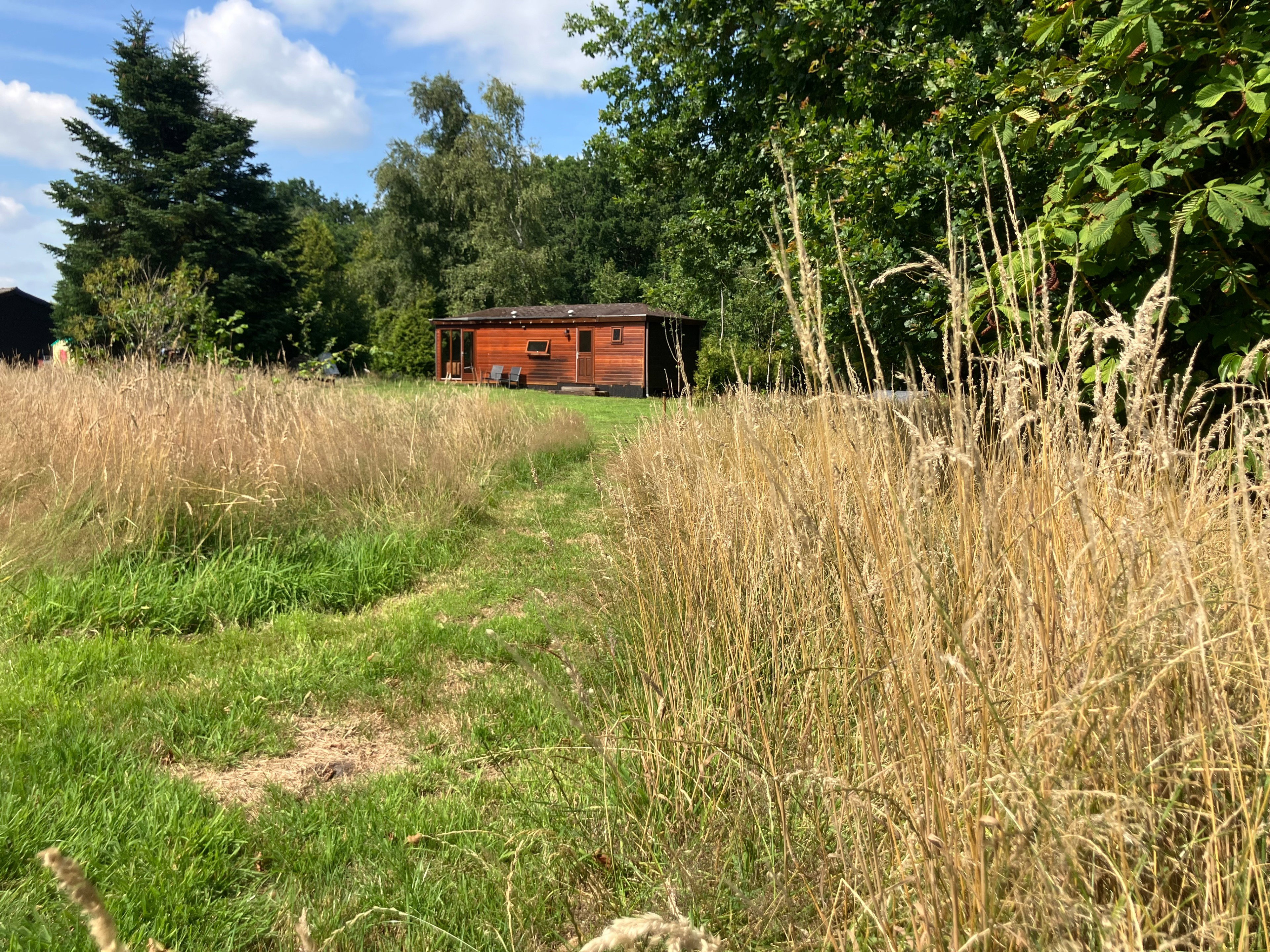 Maison nature à Eesveen