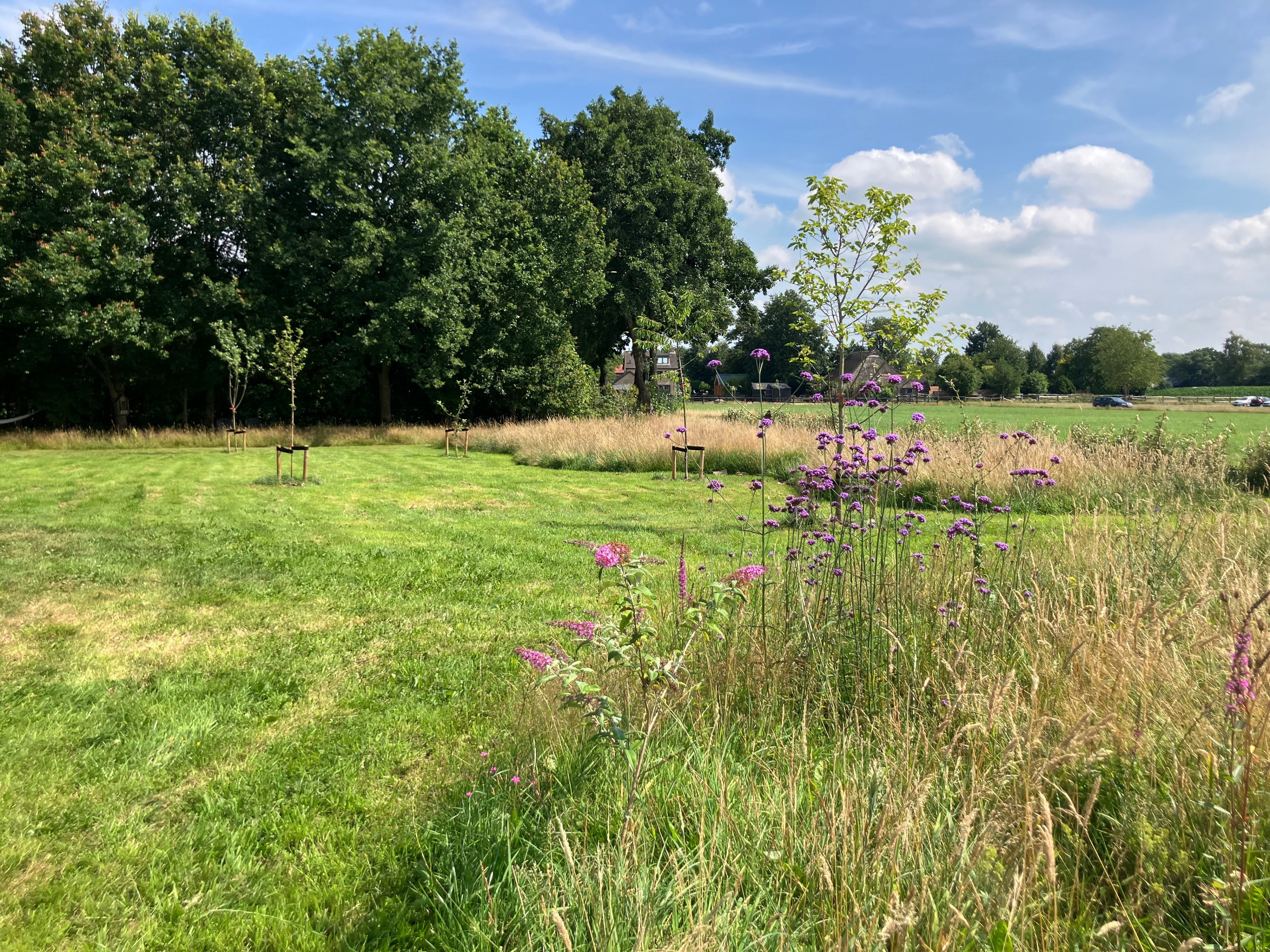 Maison nature à Eesveen