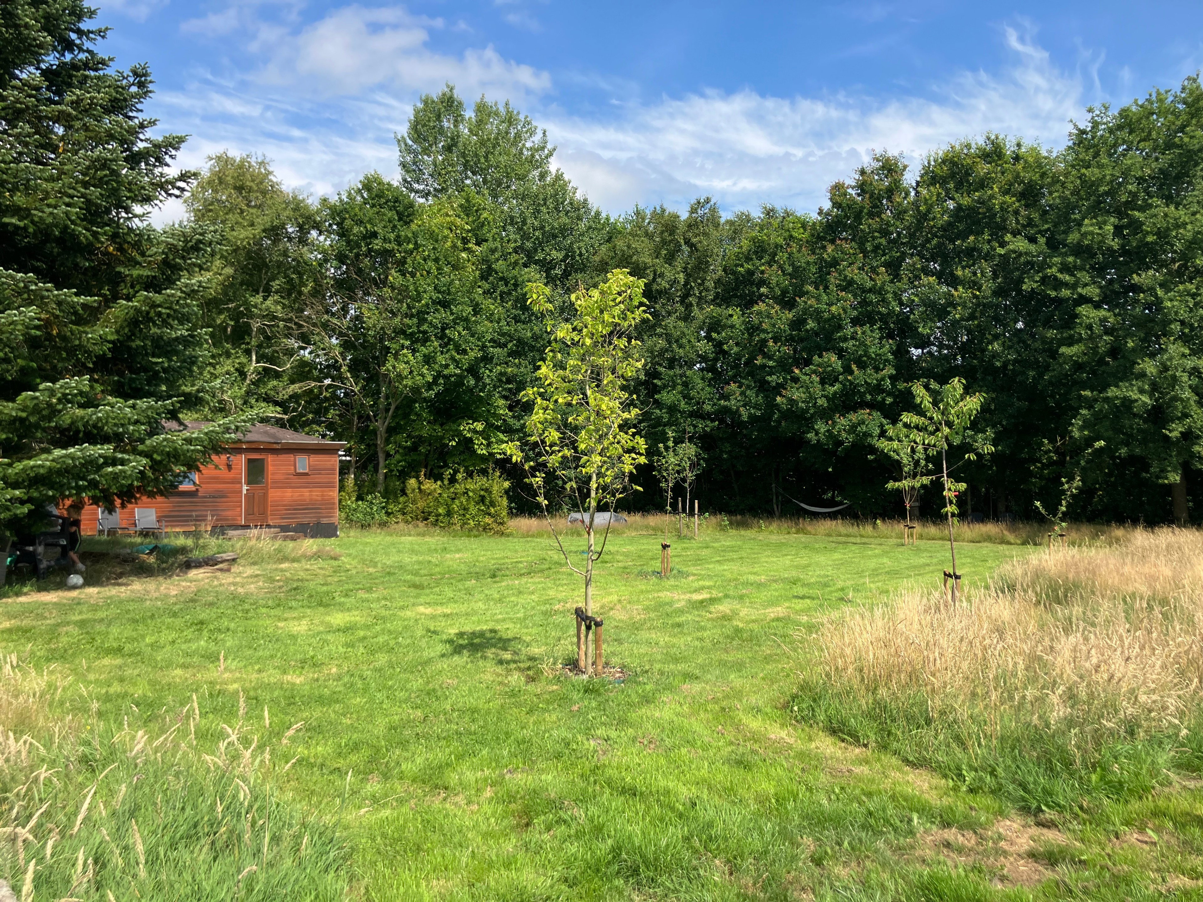 Maison nature à Eesveen