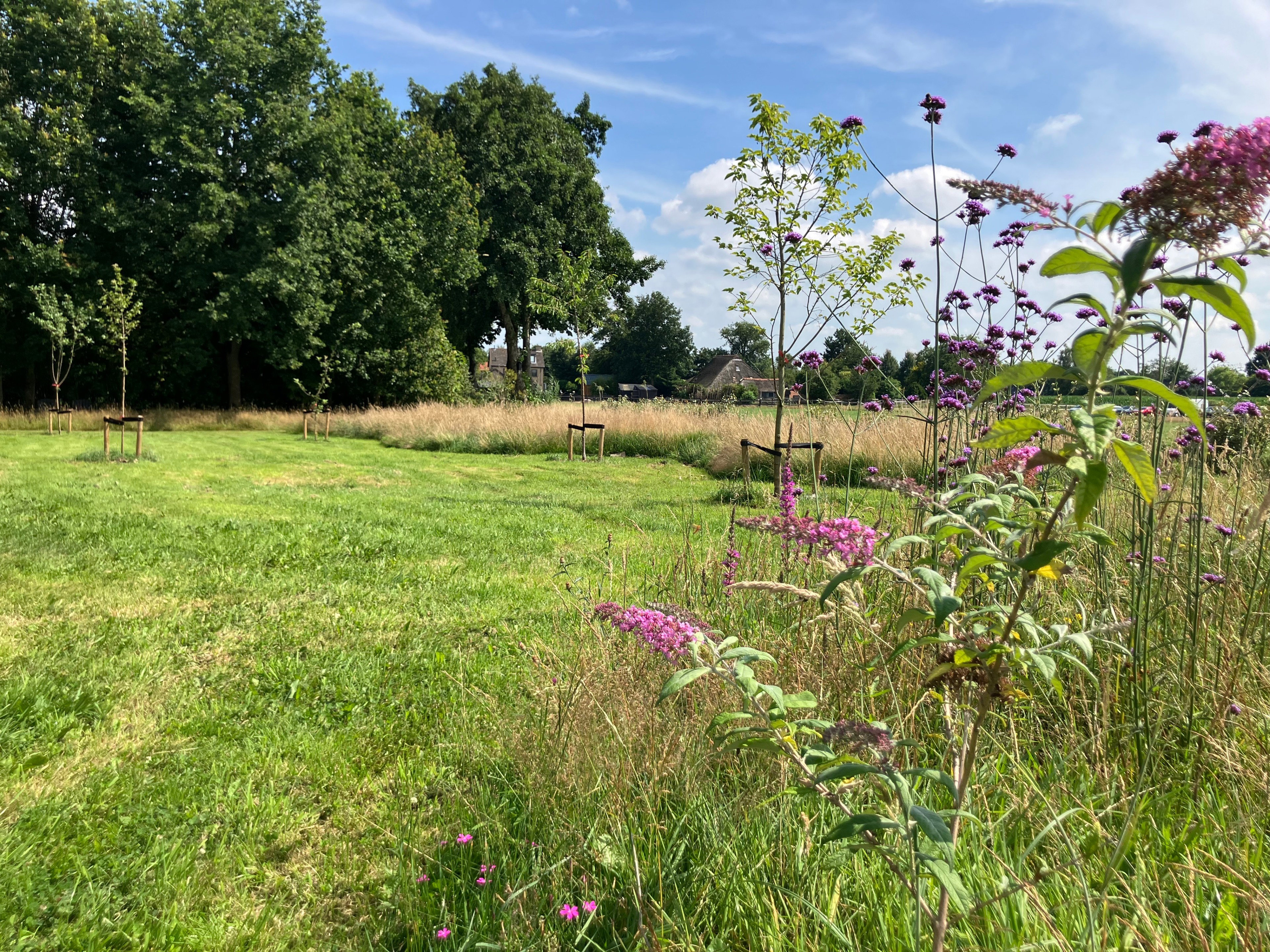 Maison nature à Eesveen