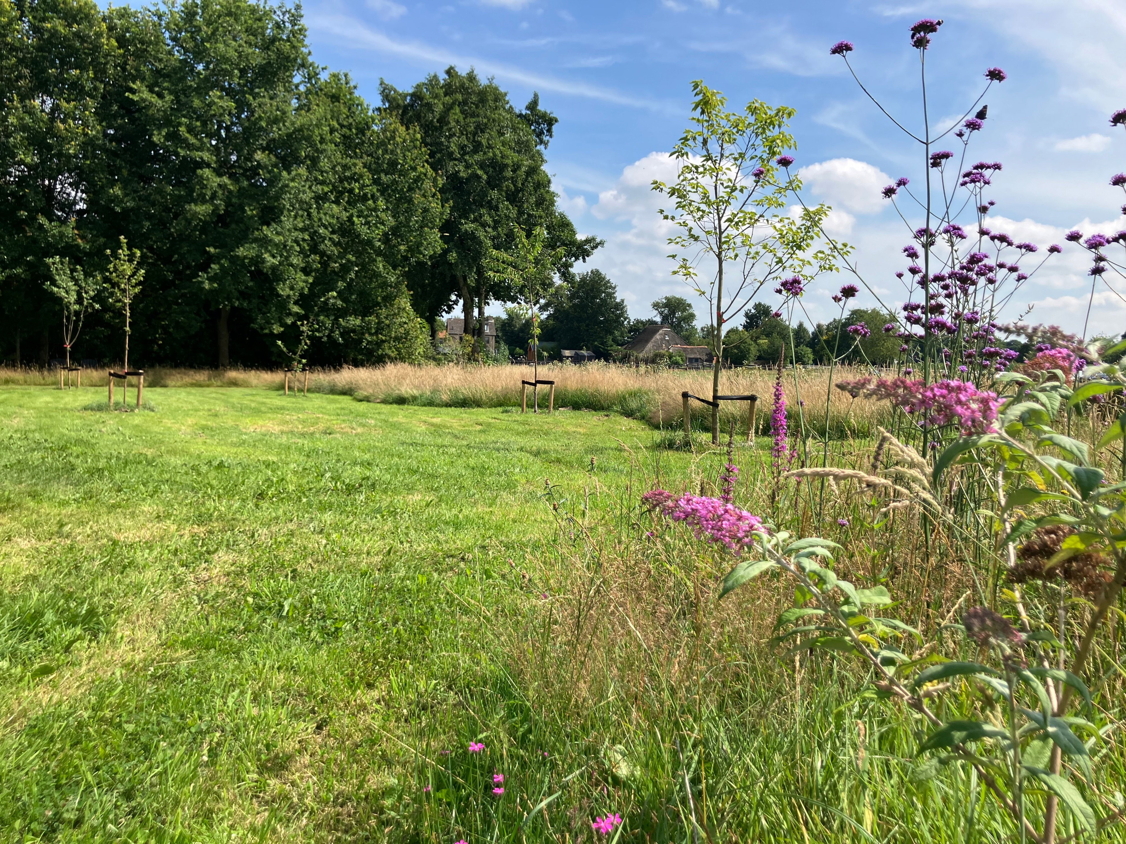 Maison nature à Eesveen