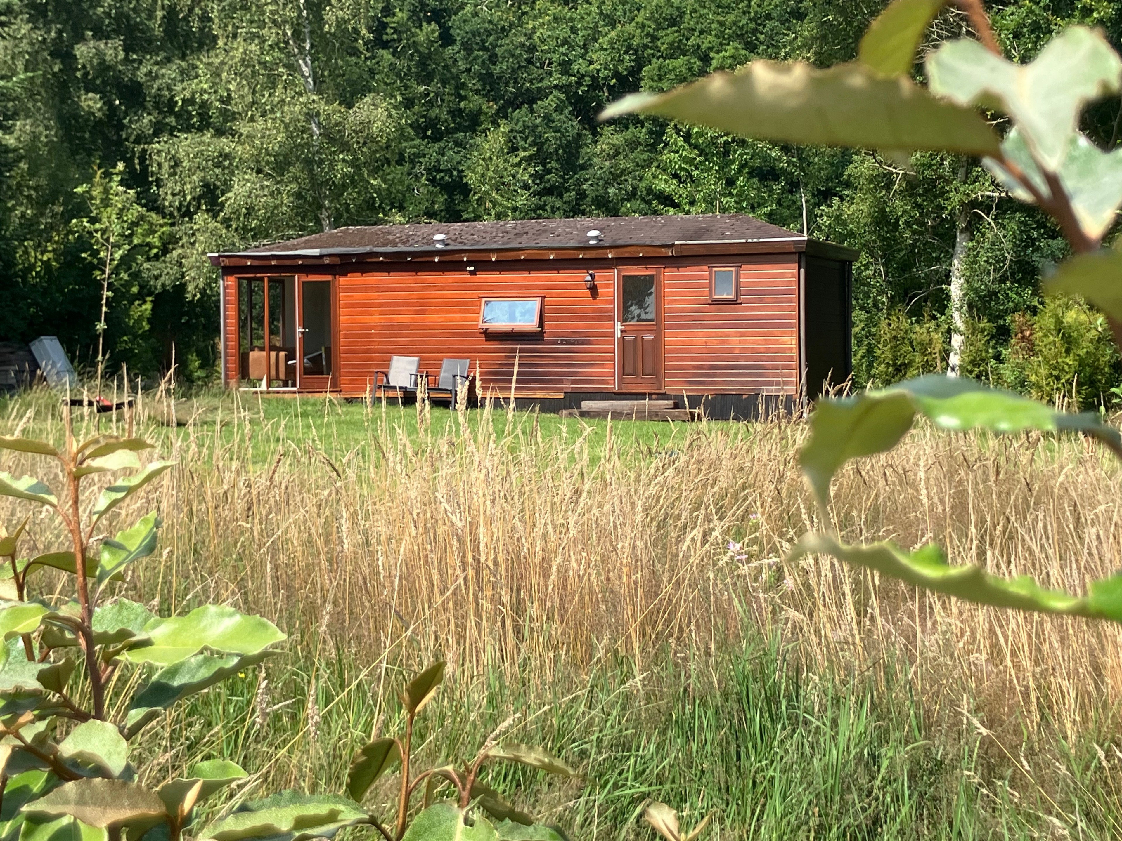 Maison nature à Eesveen