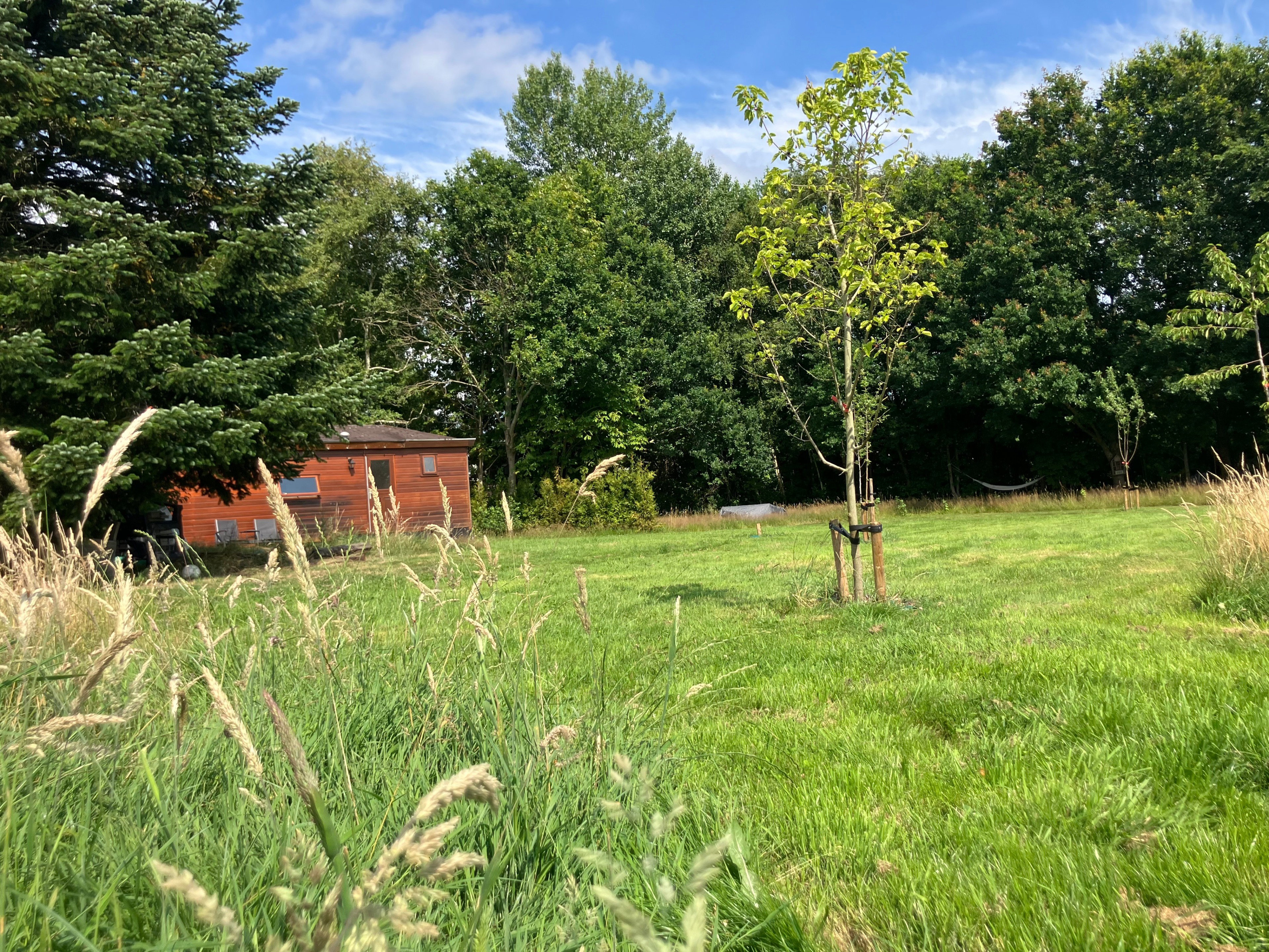 Maison nature à Eesveen