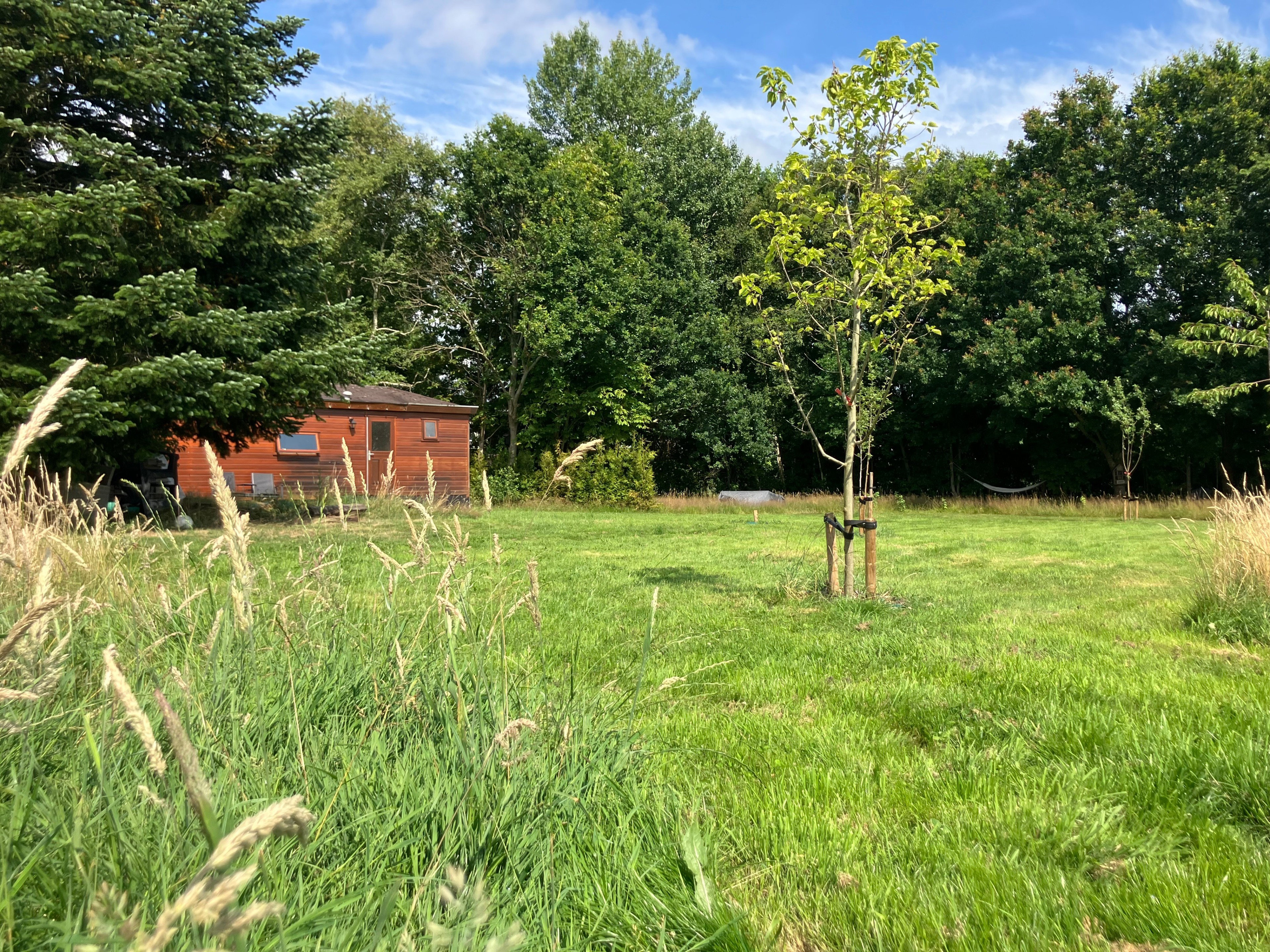 Maison nature à Eesveen